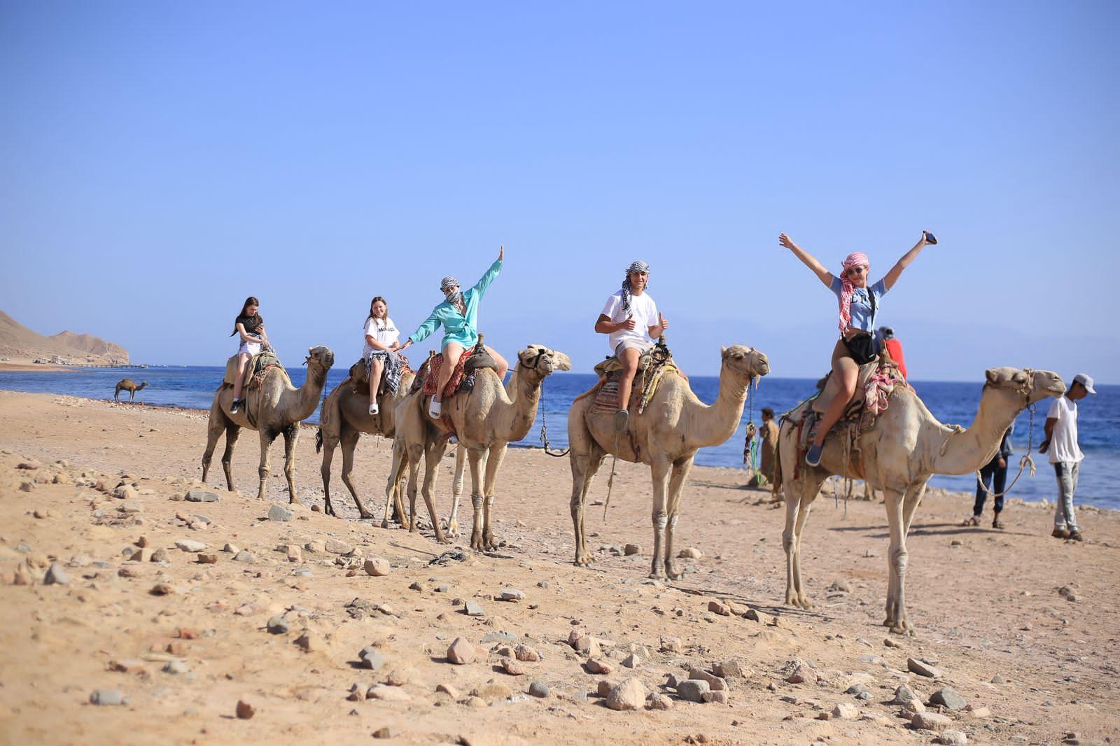 Sinai Desert & Dahab Full-Day Adventure from Sharm El Sheikh
