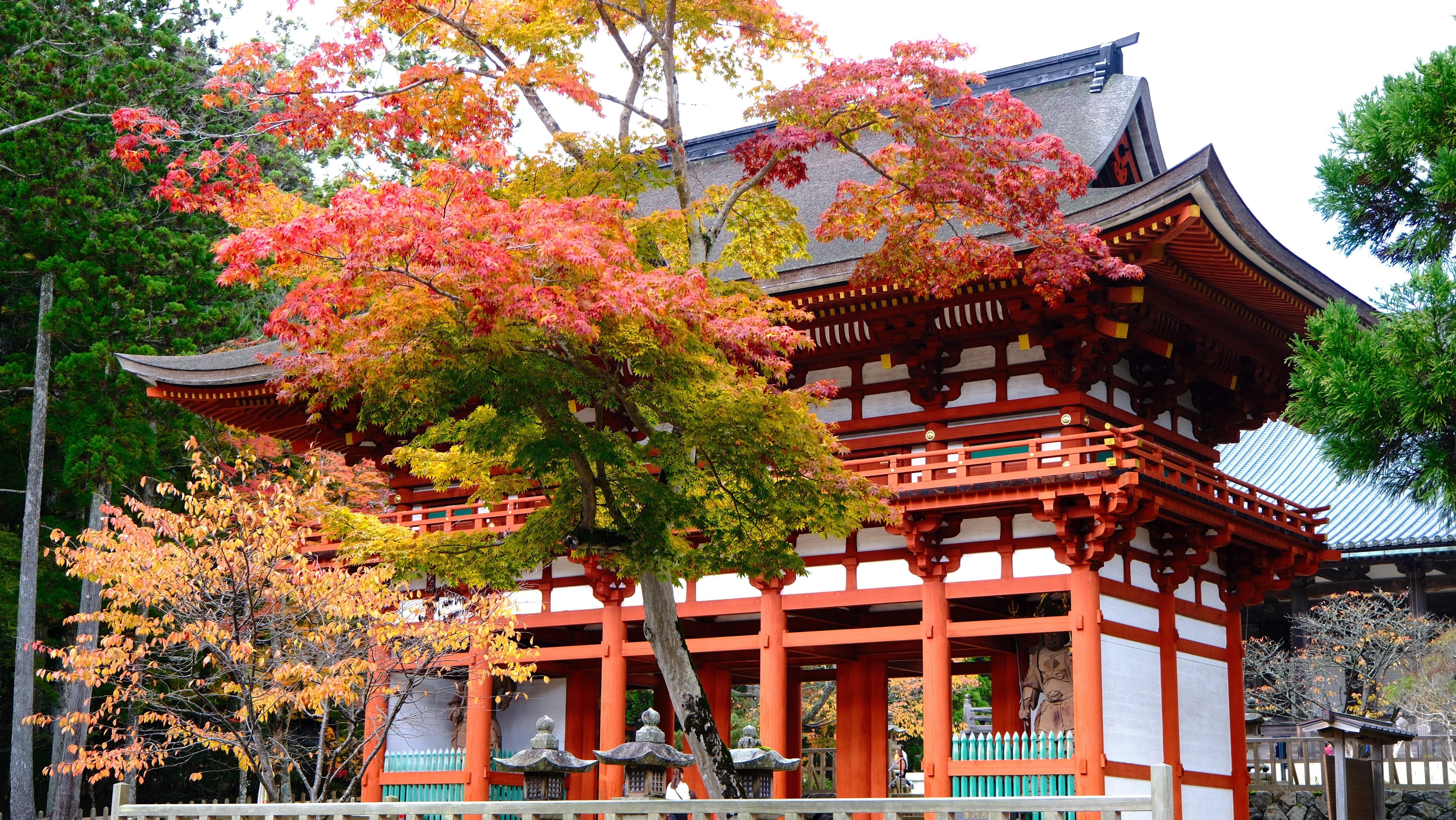 UNESCO Mount Koya: Hidden Gems & Temple Tour (Small Group)
