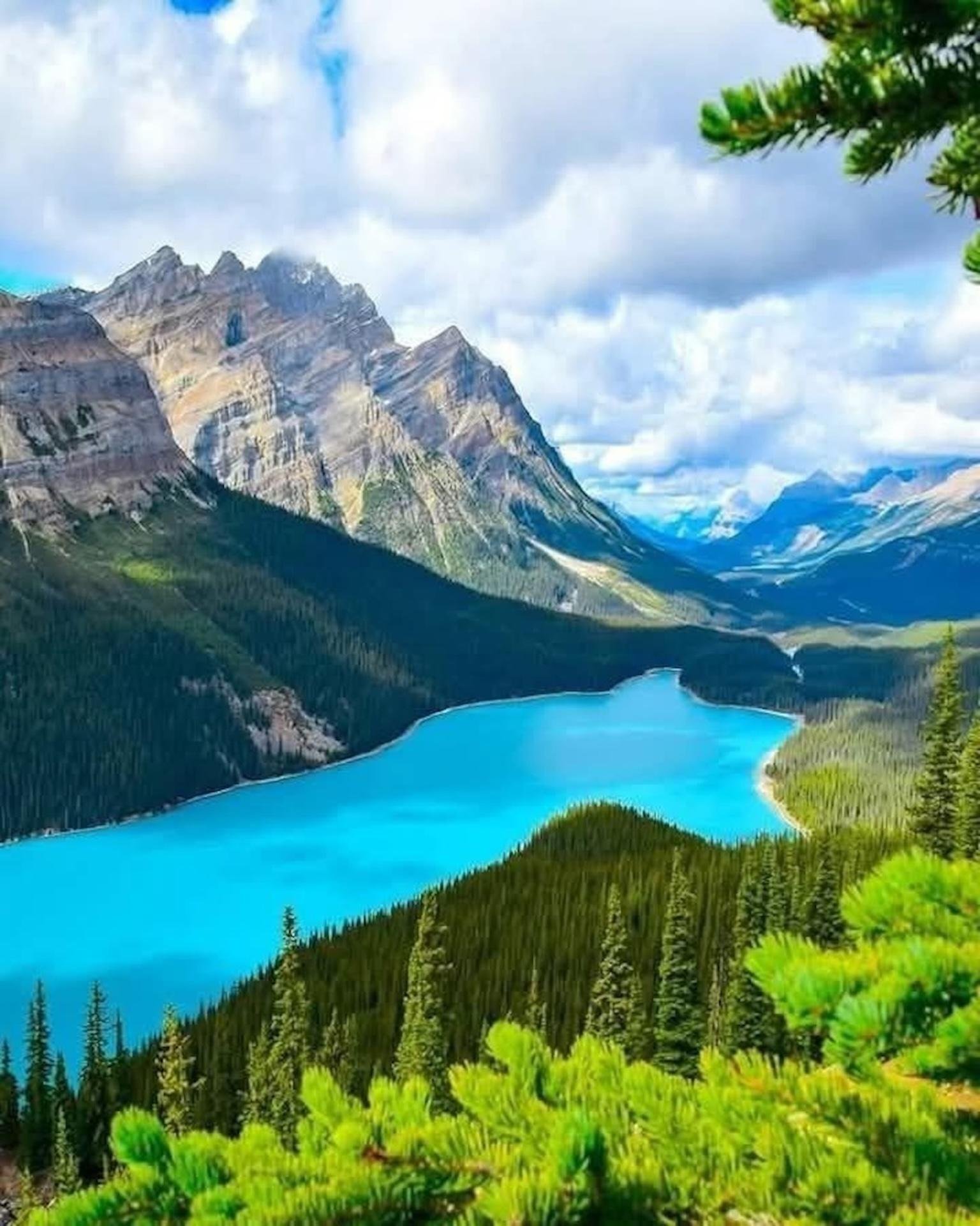Icefields Parkway tour from Calgary — Columbia Icefield, Peyto Lake and Glacier Skywalk — image 1