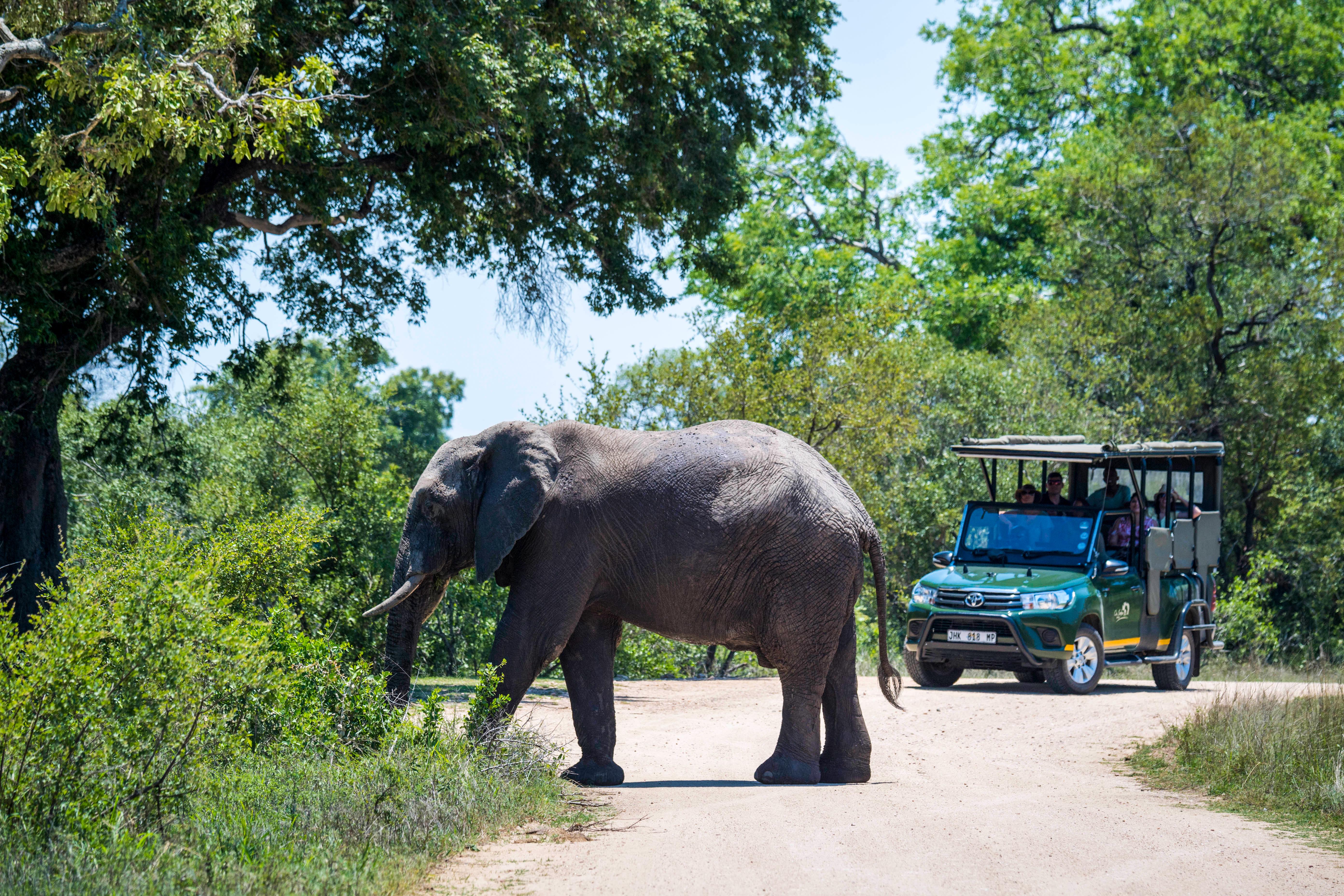 Hluhluwe-iMfolozi Big 5 Safari Day Trip from Durban