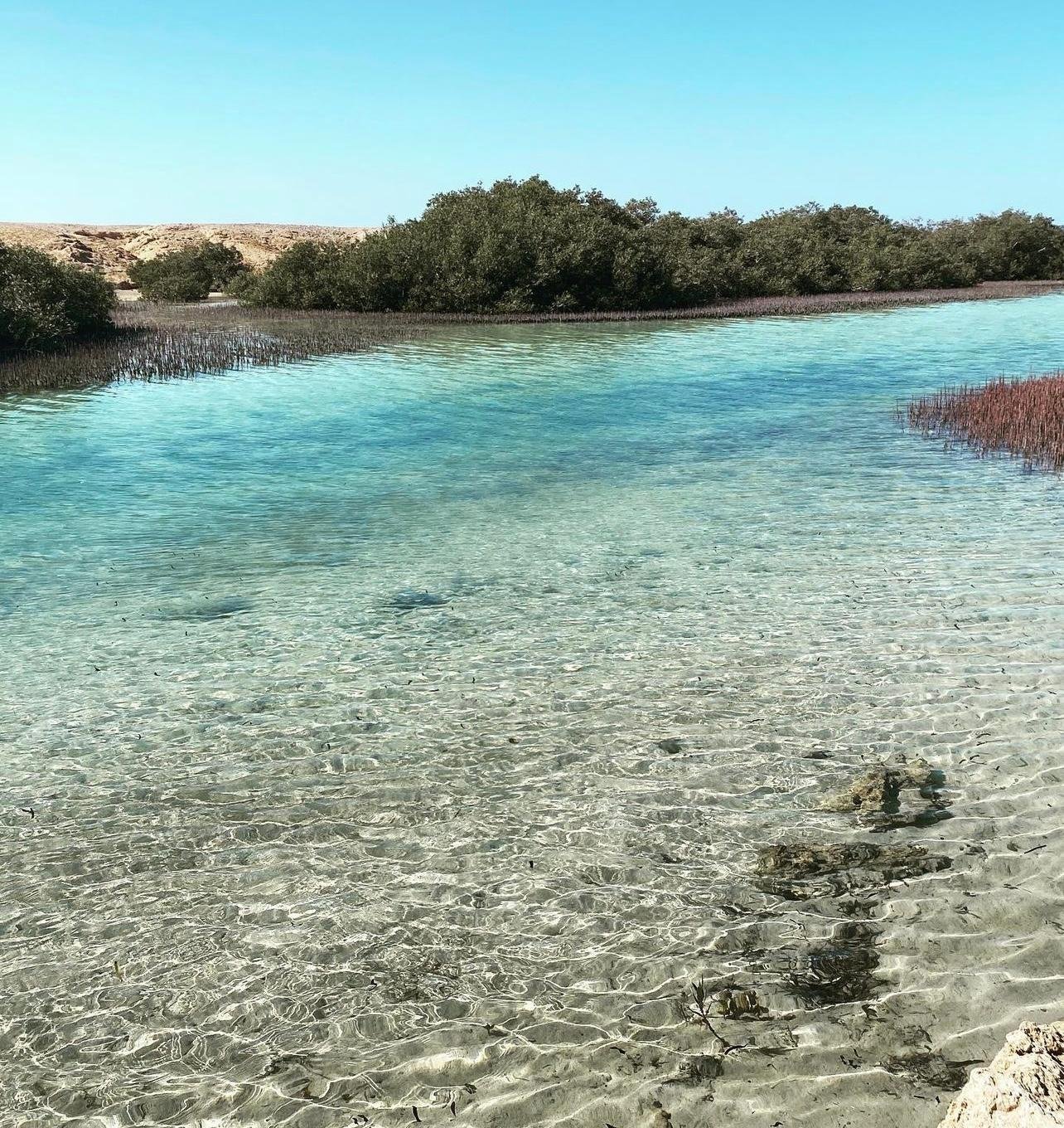 Ras Mohammed National Park Half-Day Bus Tour