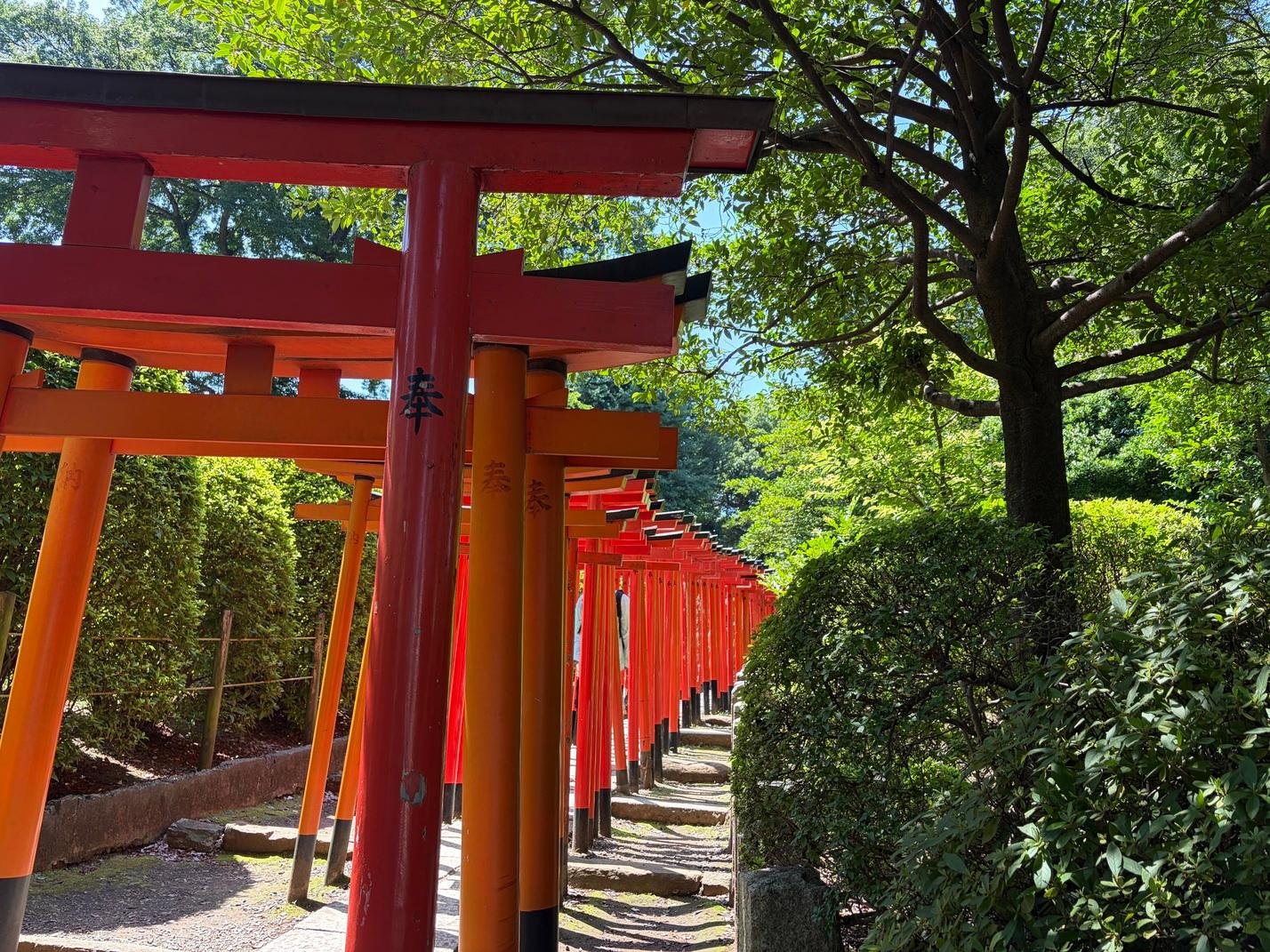 Yanaka Ghost & Samurai Private Walking Tour