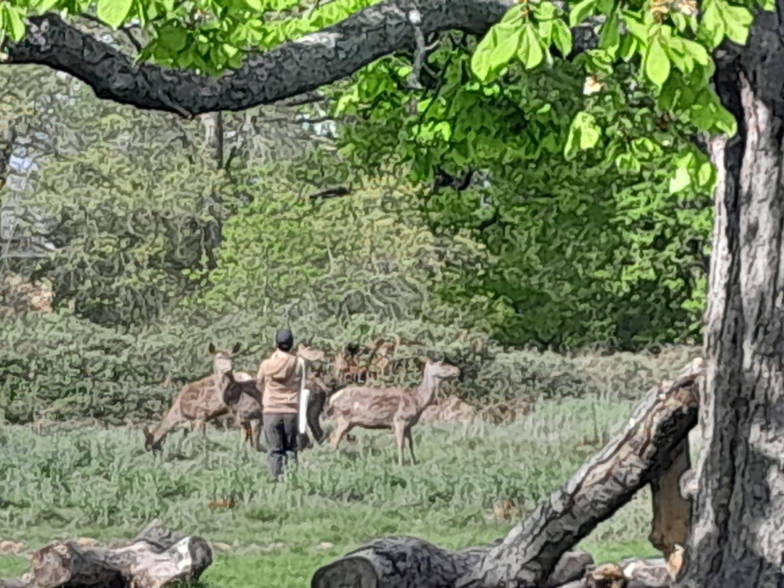 Private London: Kew Gardens, Richmond & Ted Lasso Tour