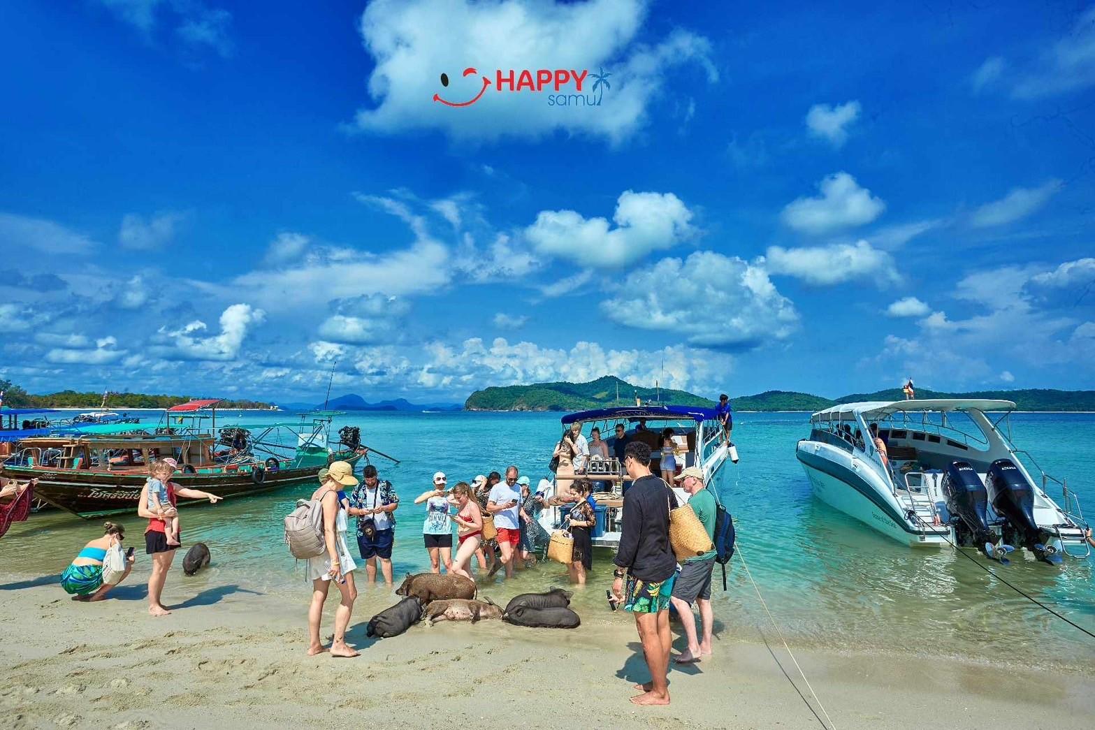 Pig Island & Koh Tan Snorkeling Express