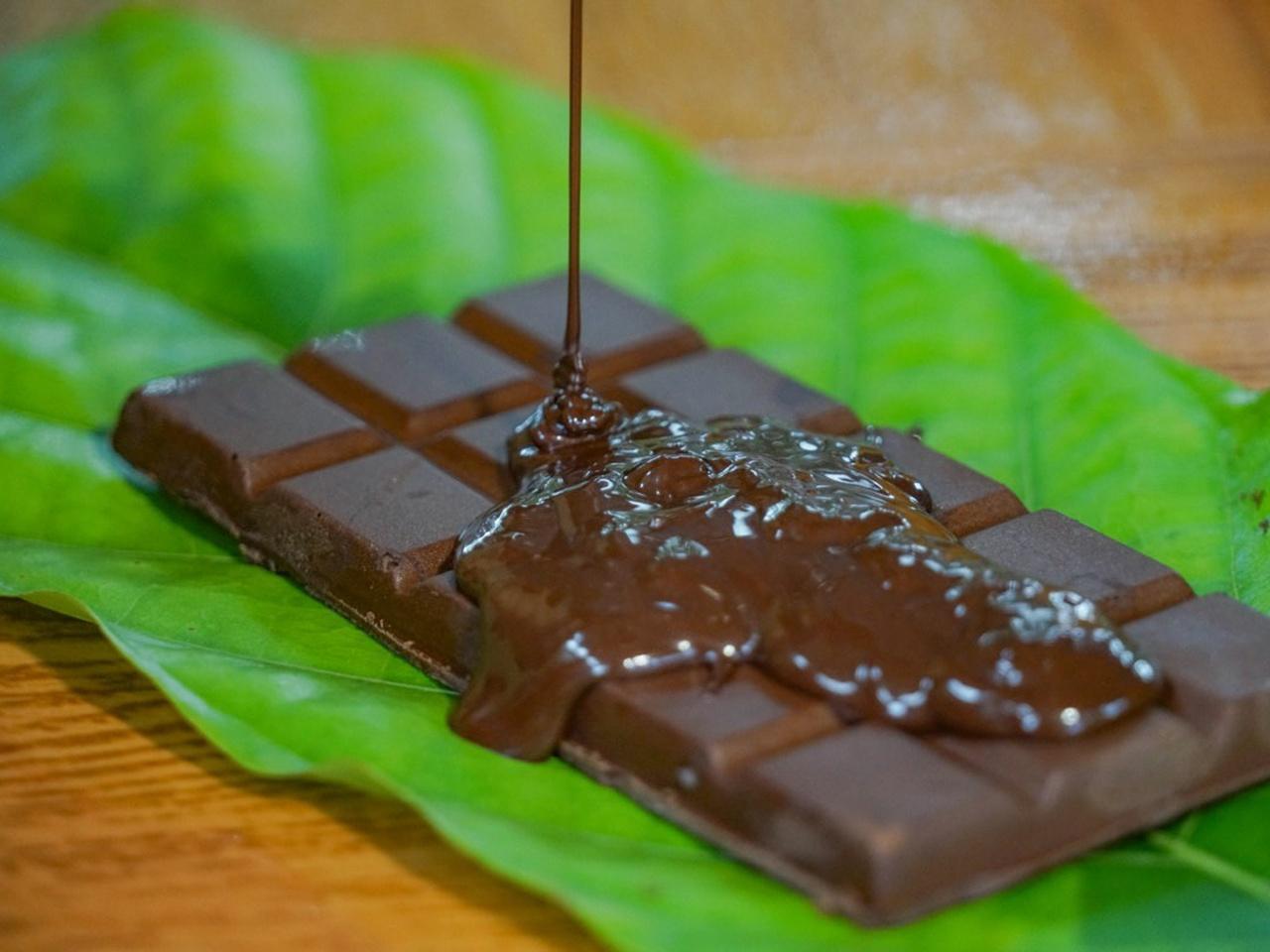 La Fortuna: North Fields Coffee & Chocolate Farm Tour
