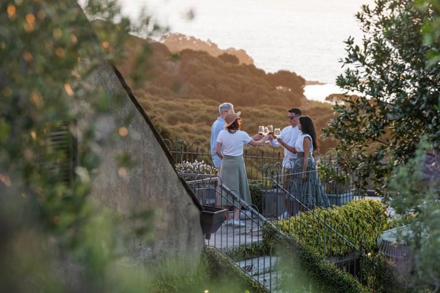Waiheke Island tour from Auckland — image 8