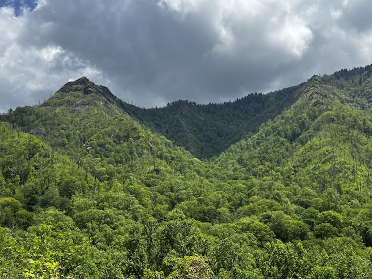 Gatlinburg side-by-side UTV rental — scenic overlook view of Great Smoky Mountains from public road