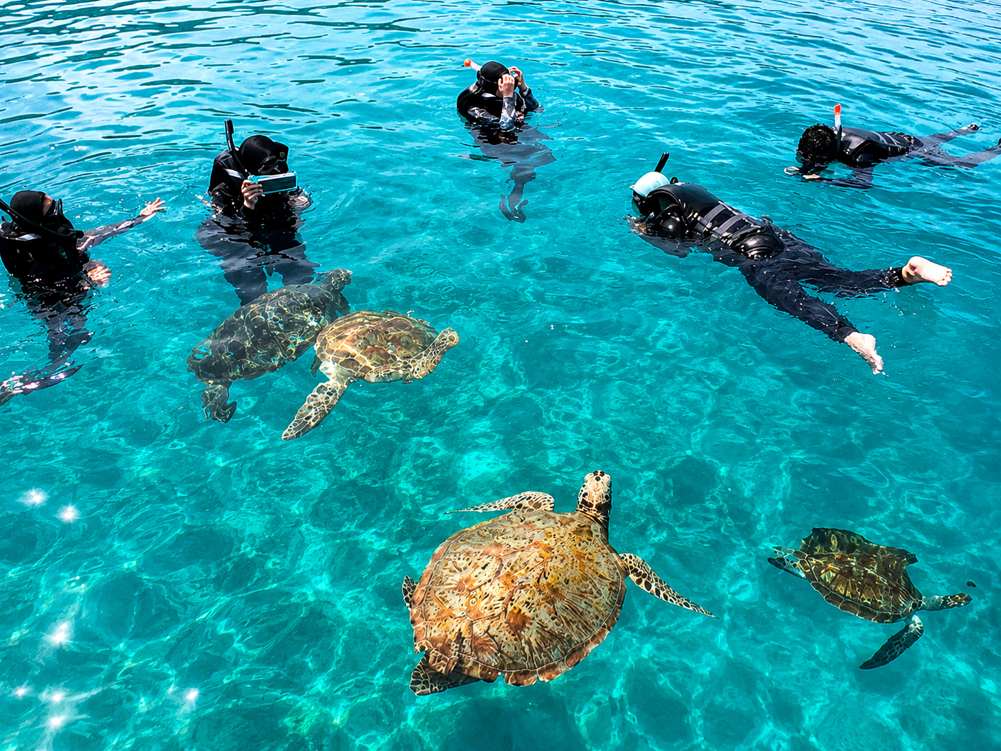 Redang Island Snorkeling Day Trip with Lunch