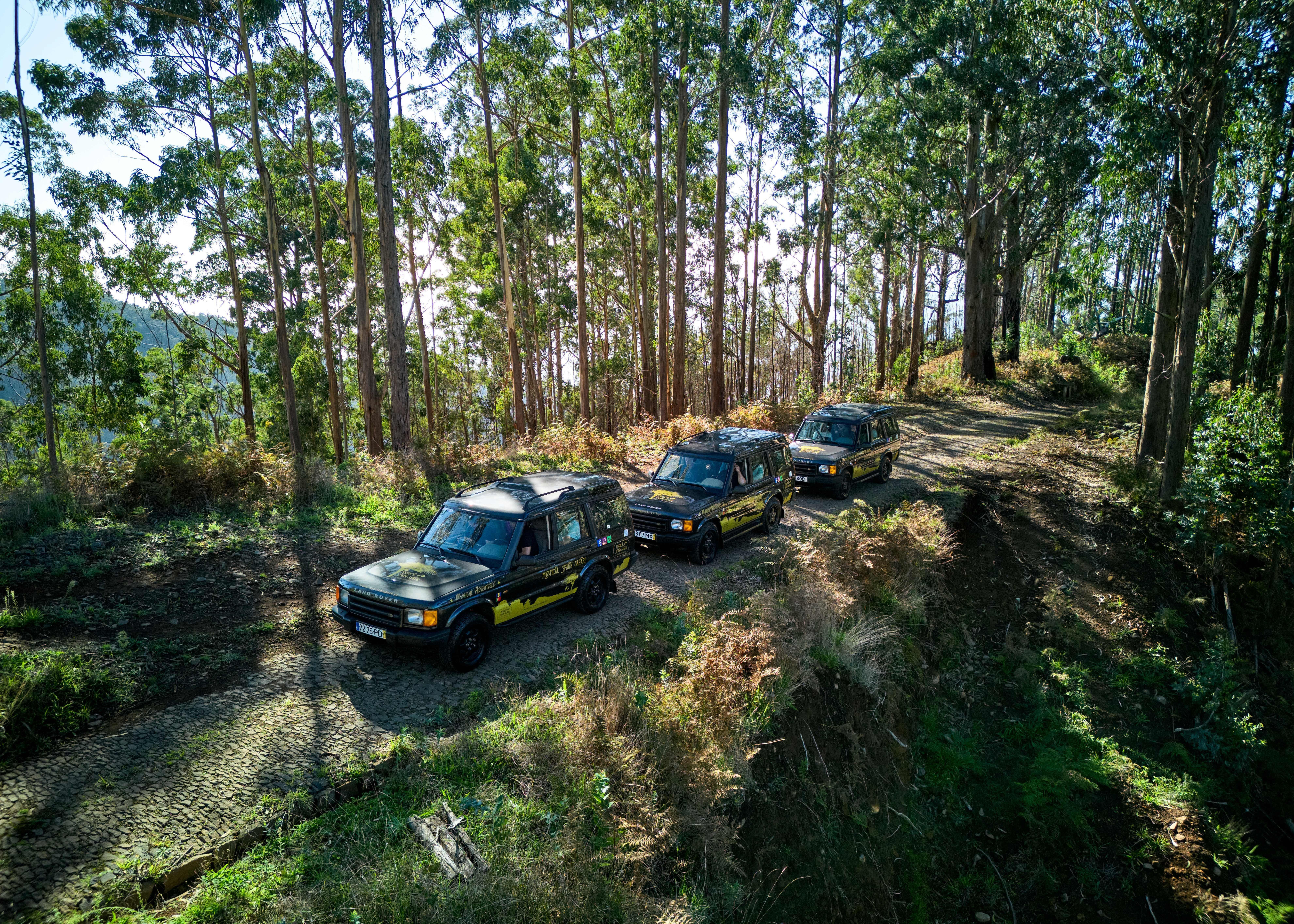 Wild Madeira 4×4: Fanal Forest, Porto Moniz & Coastal Cliffs
