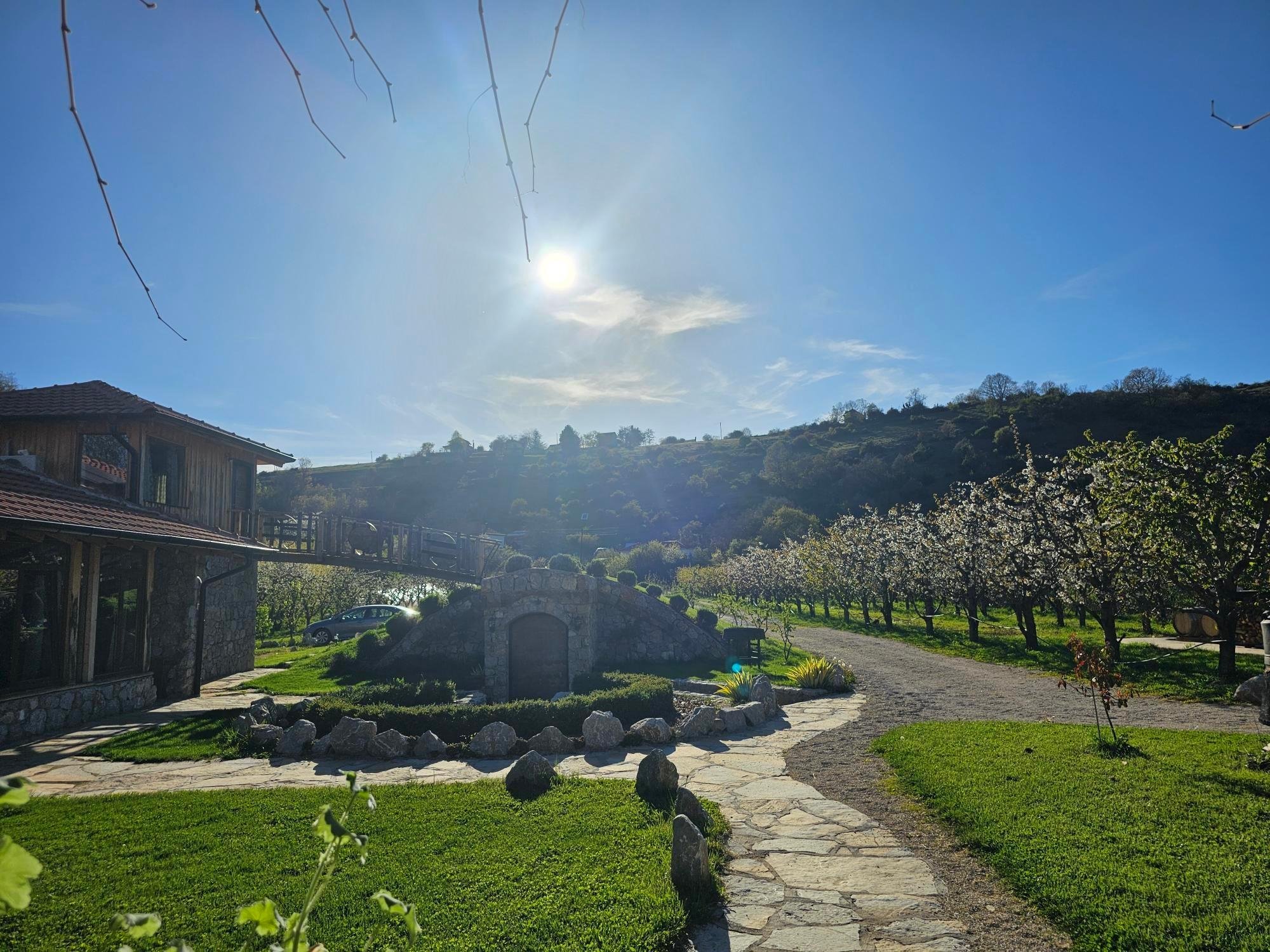 Balaklija Distillery Rakia & Wine Tasting in Orman Valley