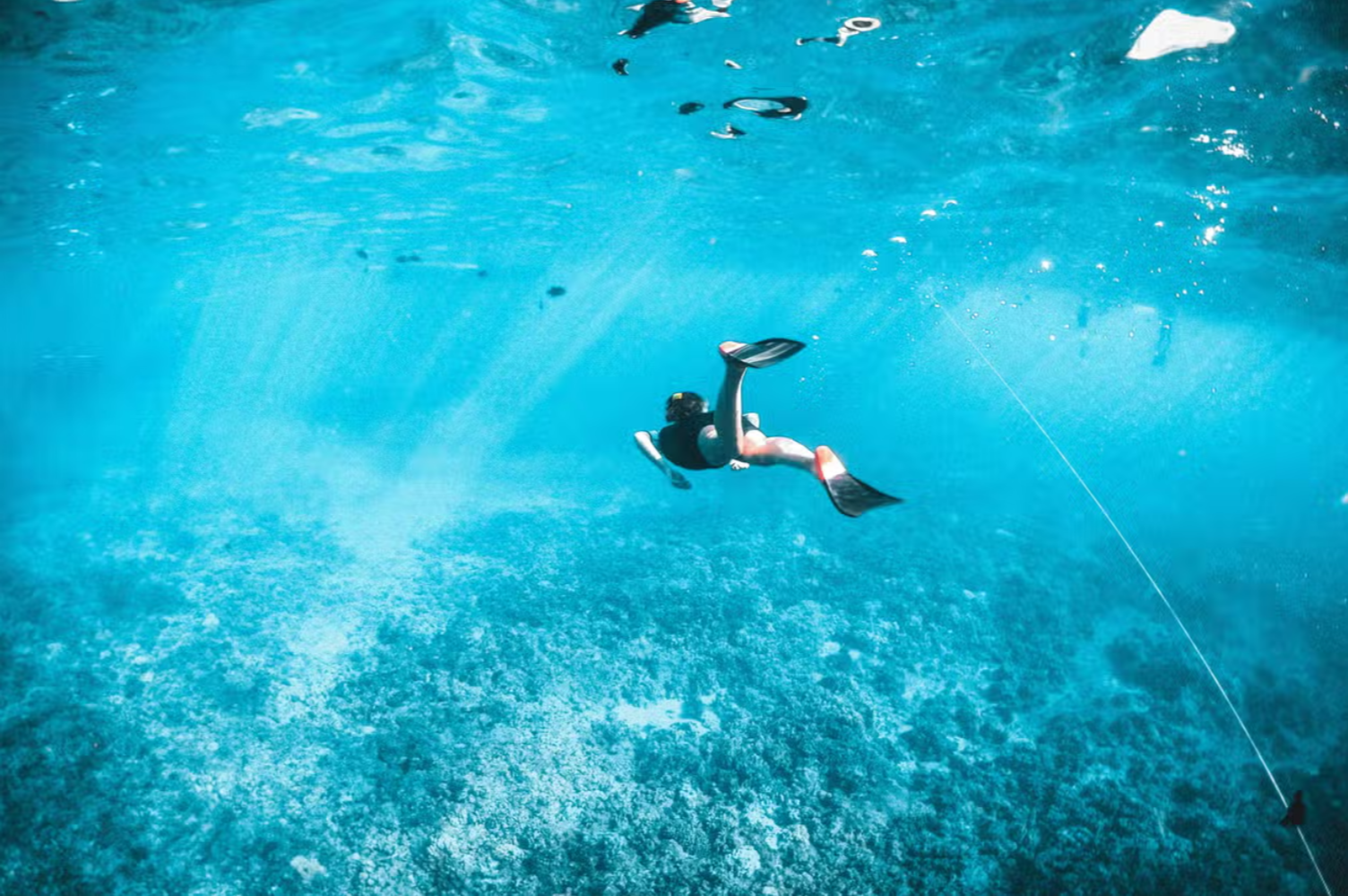 Catalina Island Snorkeling Escape from Miches