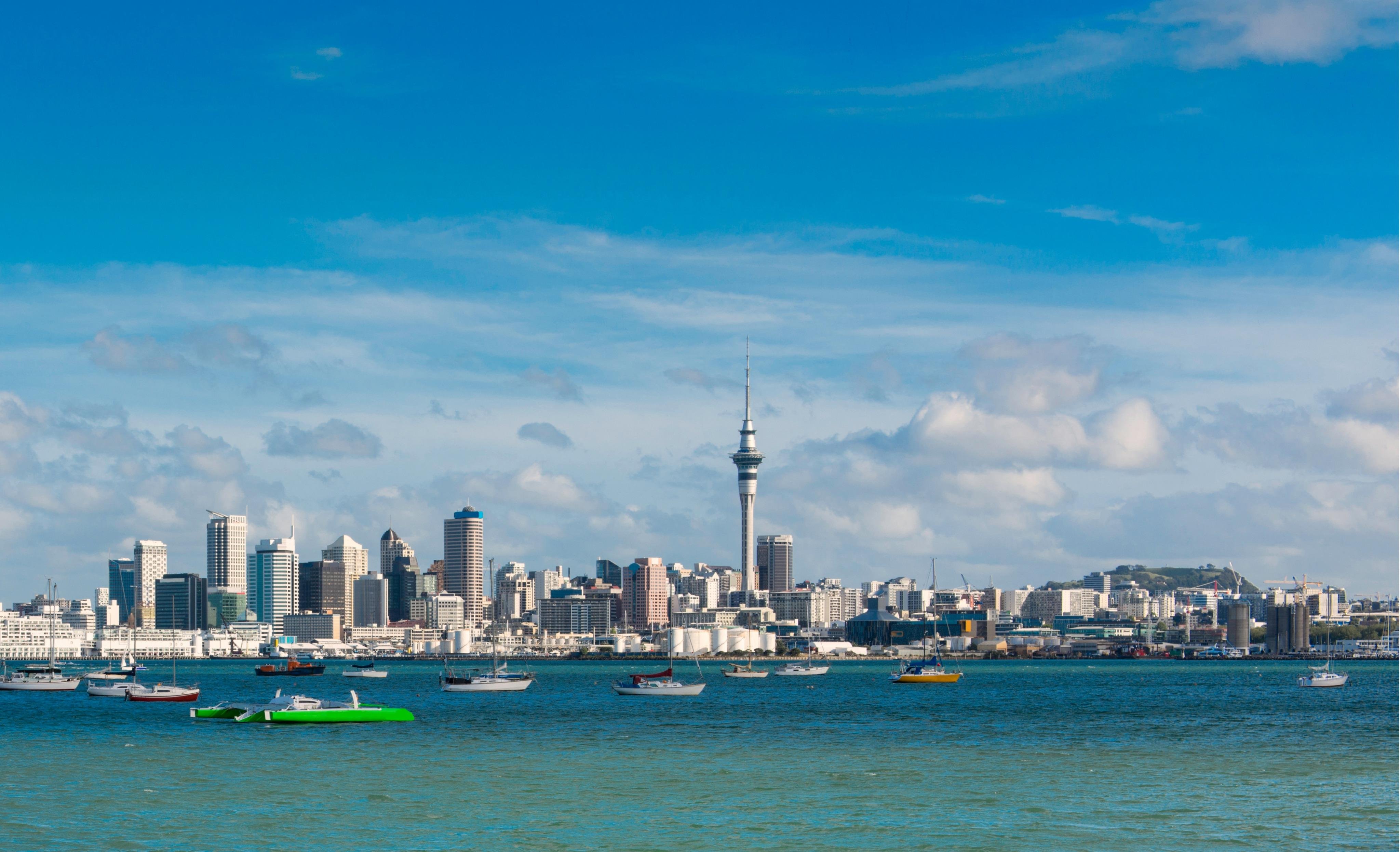 Auckland Coast to Coast Private Full-Day Tour