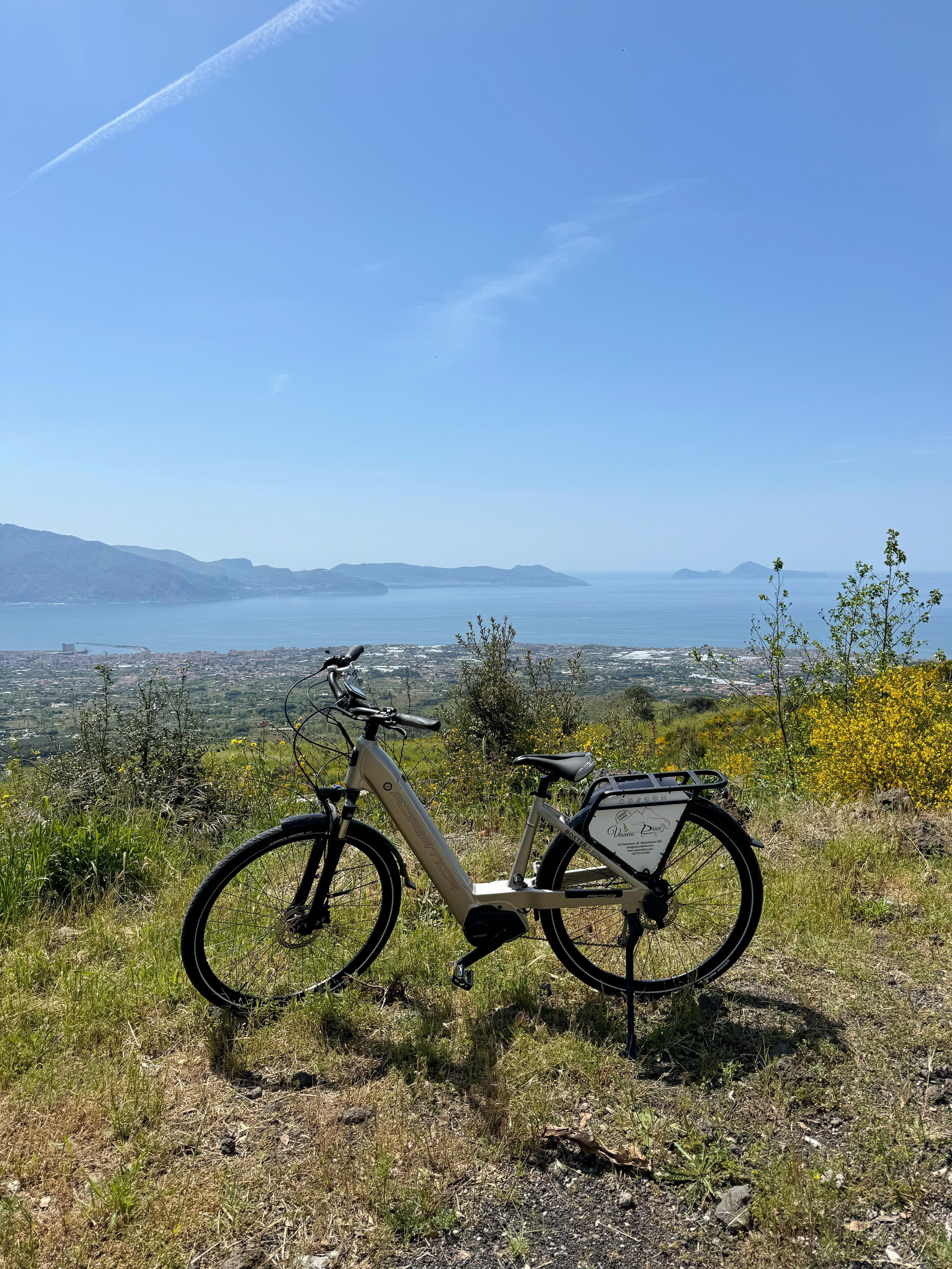 Naples: Mount Vesuvius E-Bike Tour with Crater Visit - Mount Vesuvius crater tour and Bay of Naples views