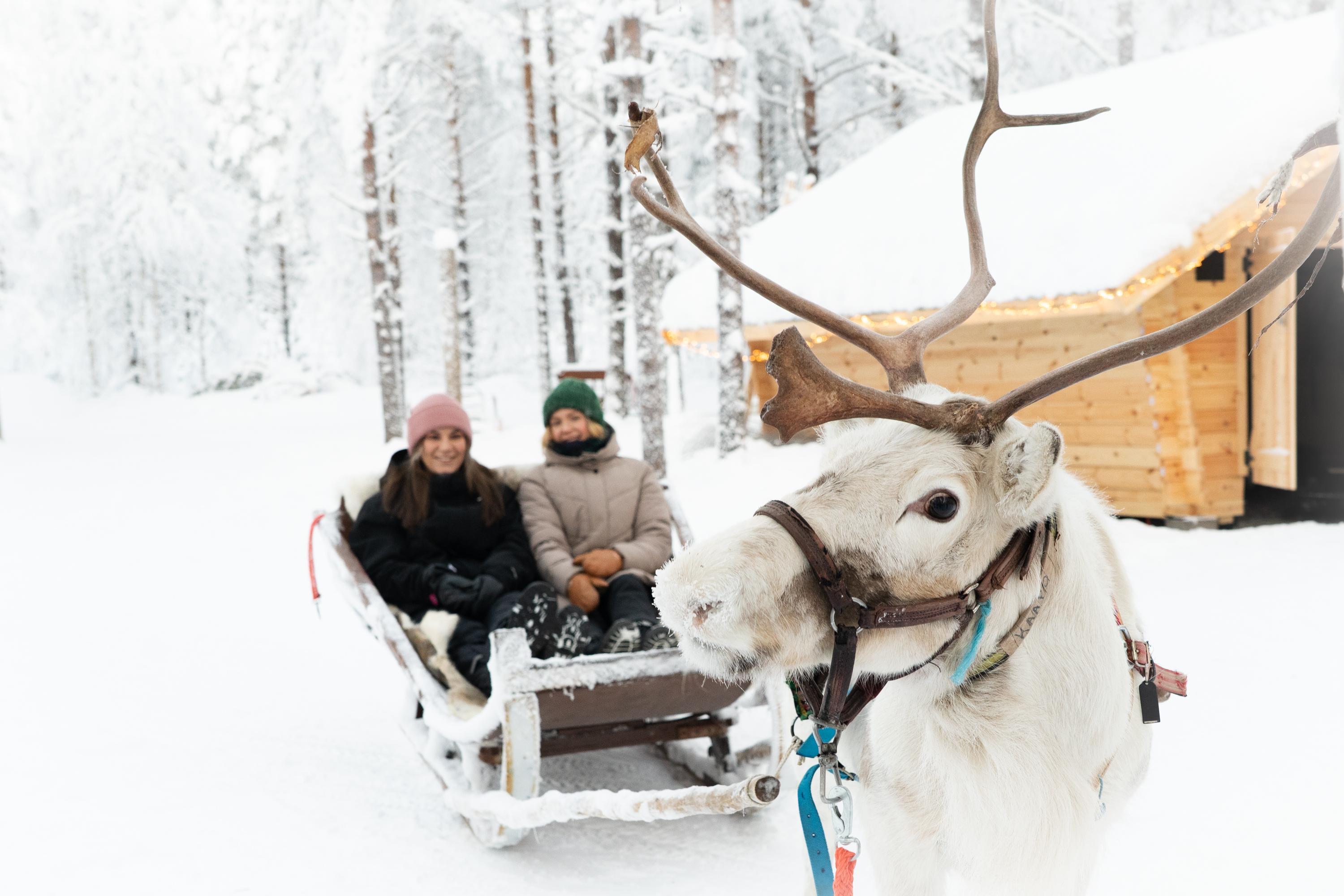 Rovaniemi Arctic Day: Santa's Village, Snowmobile Safari & Reindeer Farm