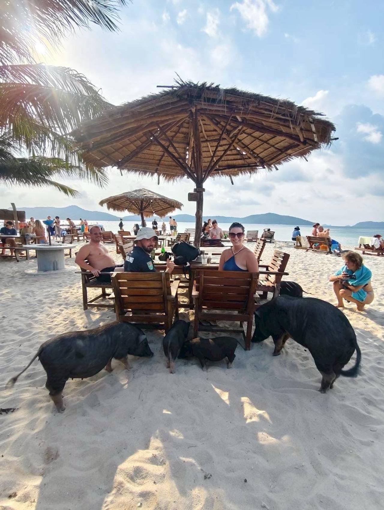 Koh Samui: Pig Island & Koh Tan Snorkeling Adventure