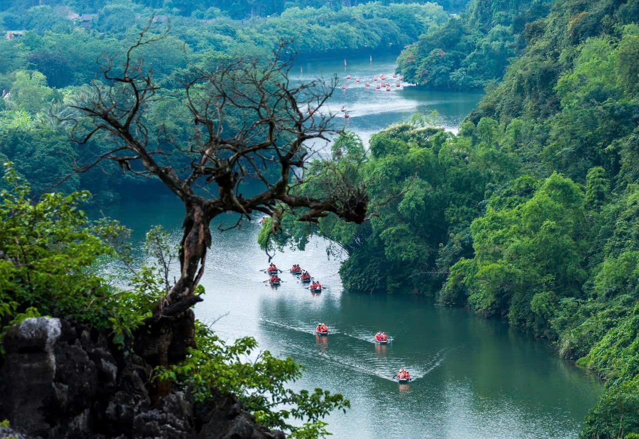 Hanoi to Ninh Binh: Hoa Lu, Trang An & Mua Cave Day Tour