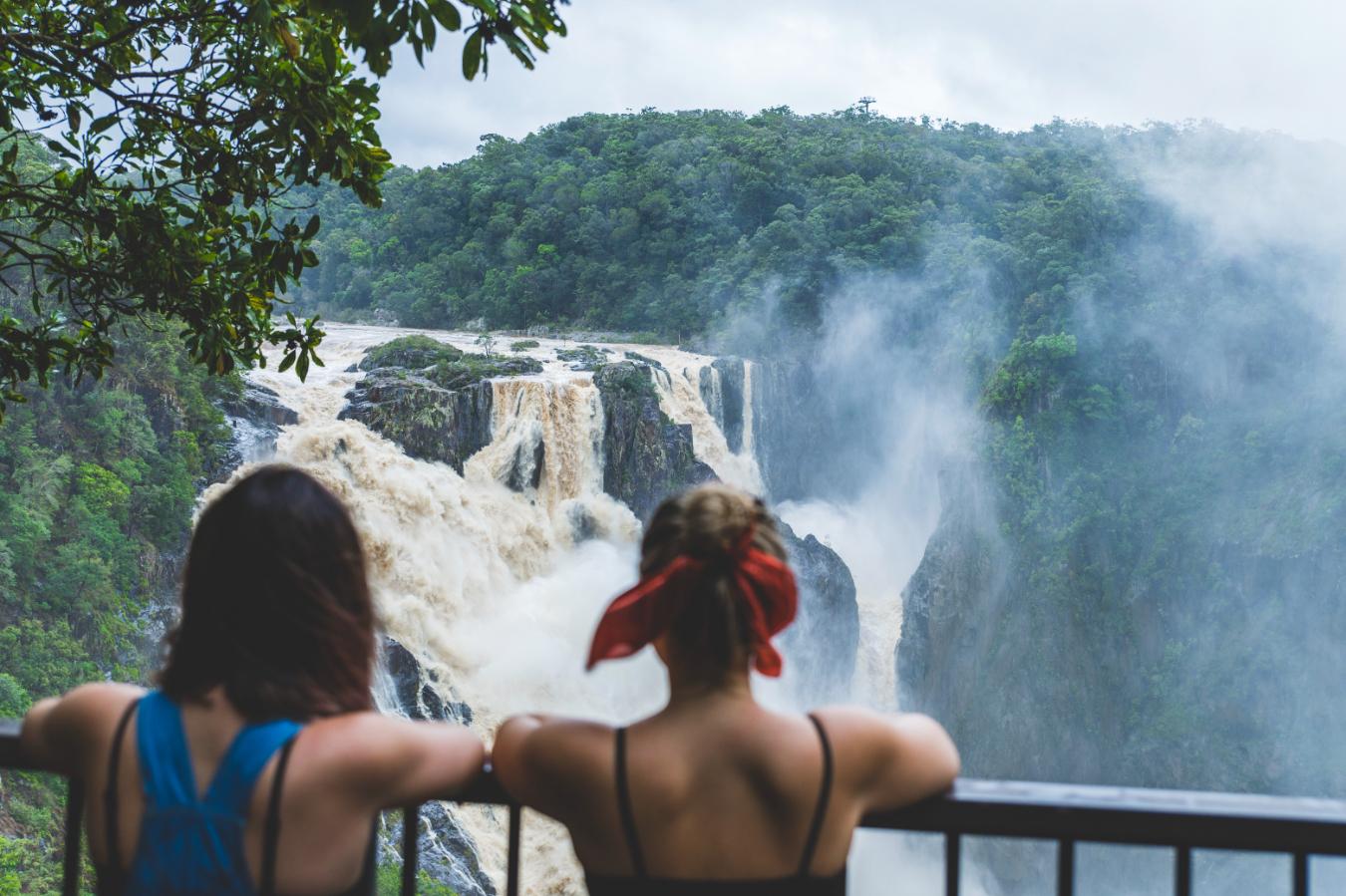 Half-Day 4WD Rainforest Adventure with Waterfall Swim