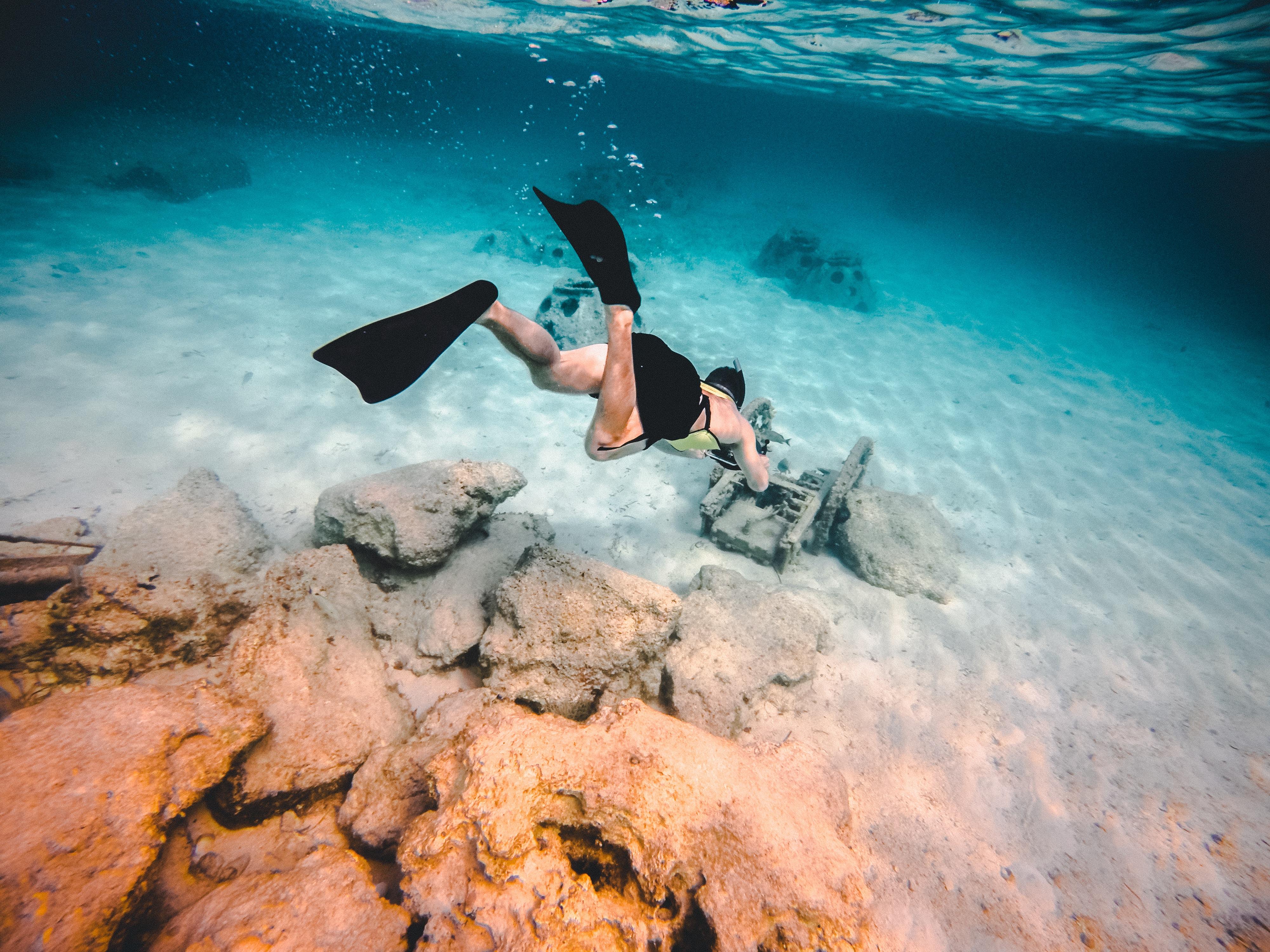 Bahamas Day Trip: Bimini or Grand Bahama Ferry from Miami