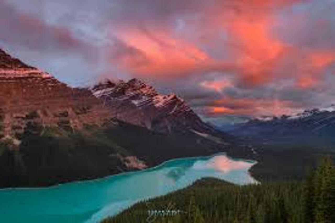 Icefields Parkway tour — Columbia Icefield, Peyto Lake and Bow Lake, Alberta — image 20