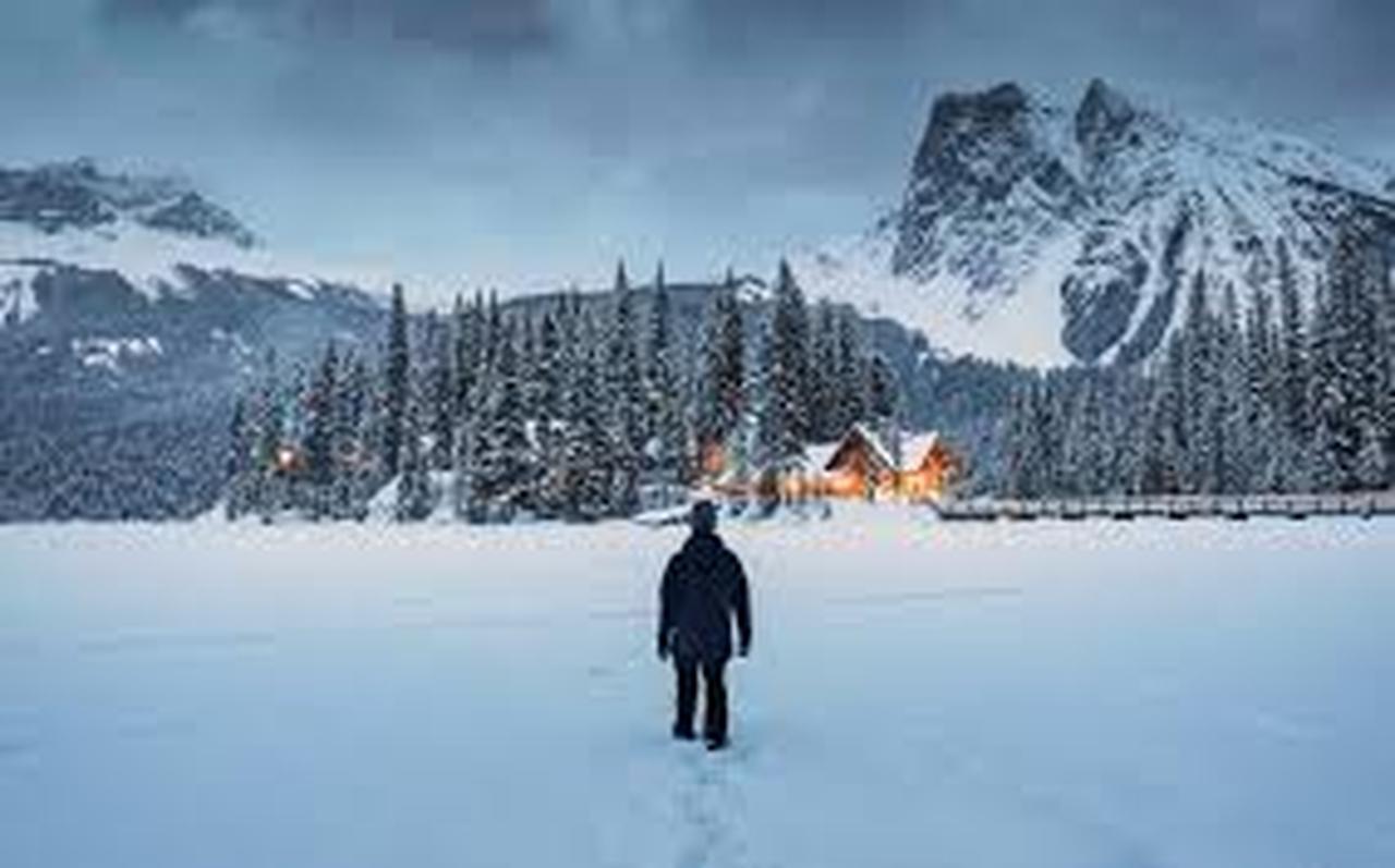 Emerald Lake canoe green glacial water President Range Yoho National Park British Columbia — image 30