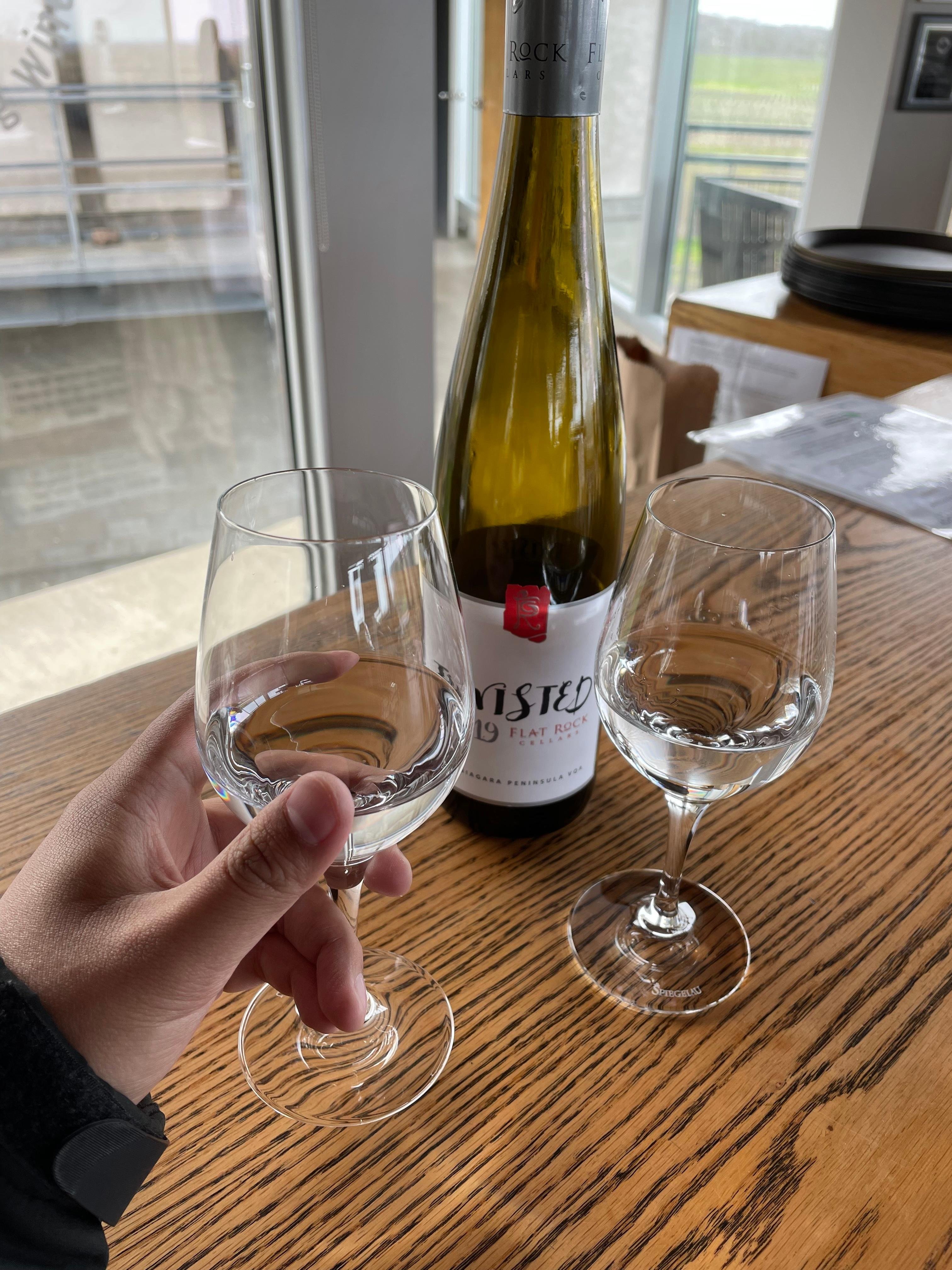 Relaxing Lunch & Wine Tour through Niagara's Wine Country