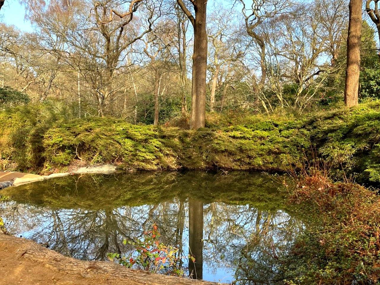 Historic Richmond & Nature Walking Expedition