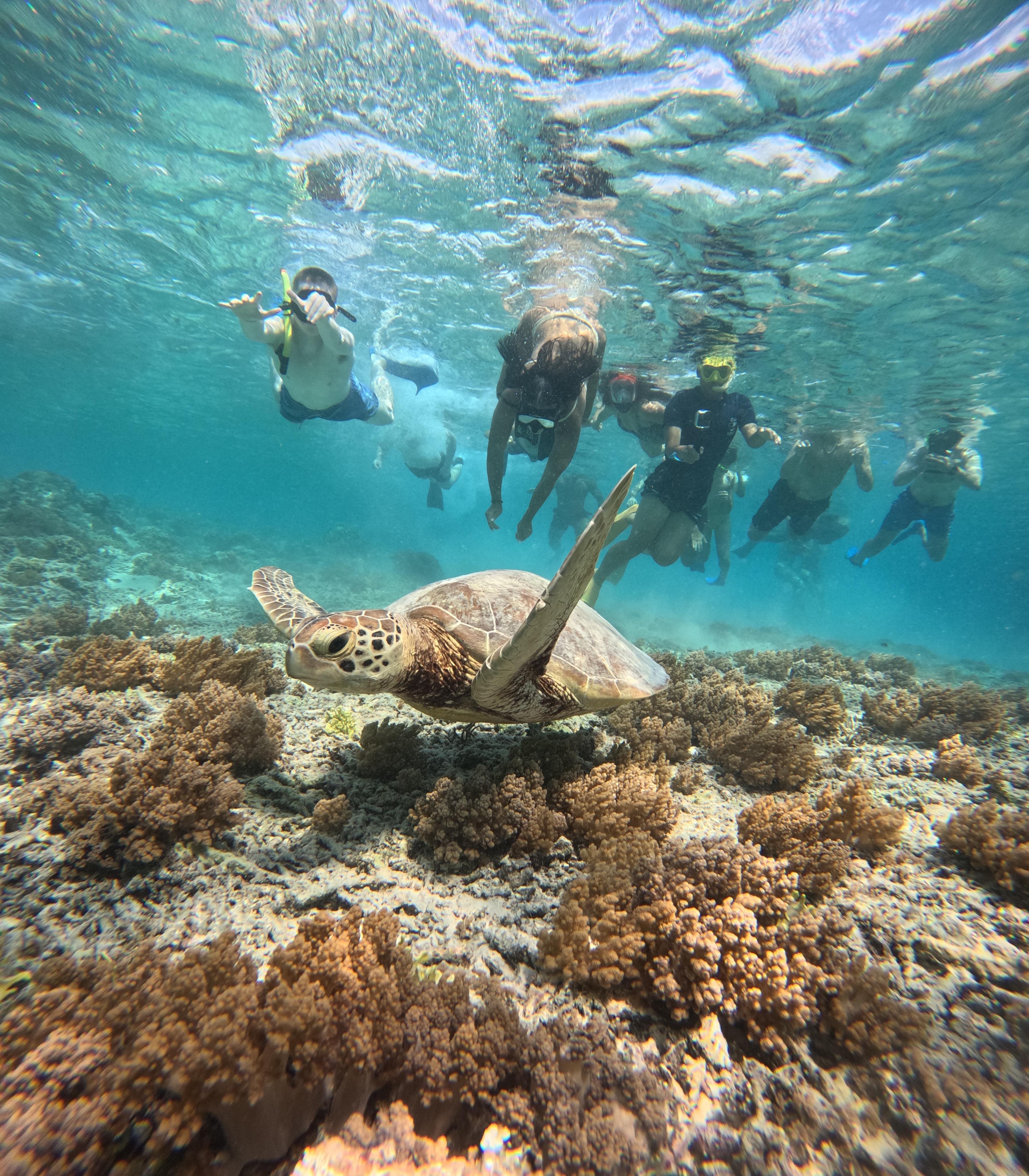 Gili Meno Private Snorkel Trip with Free Bintang Beer