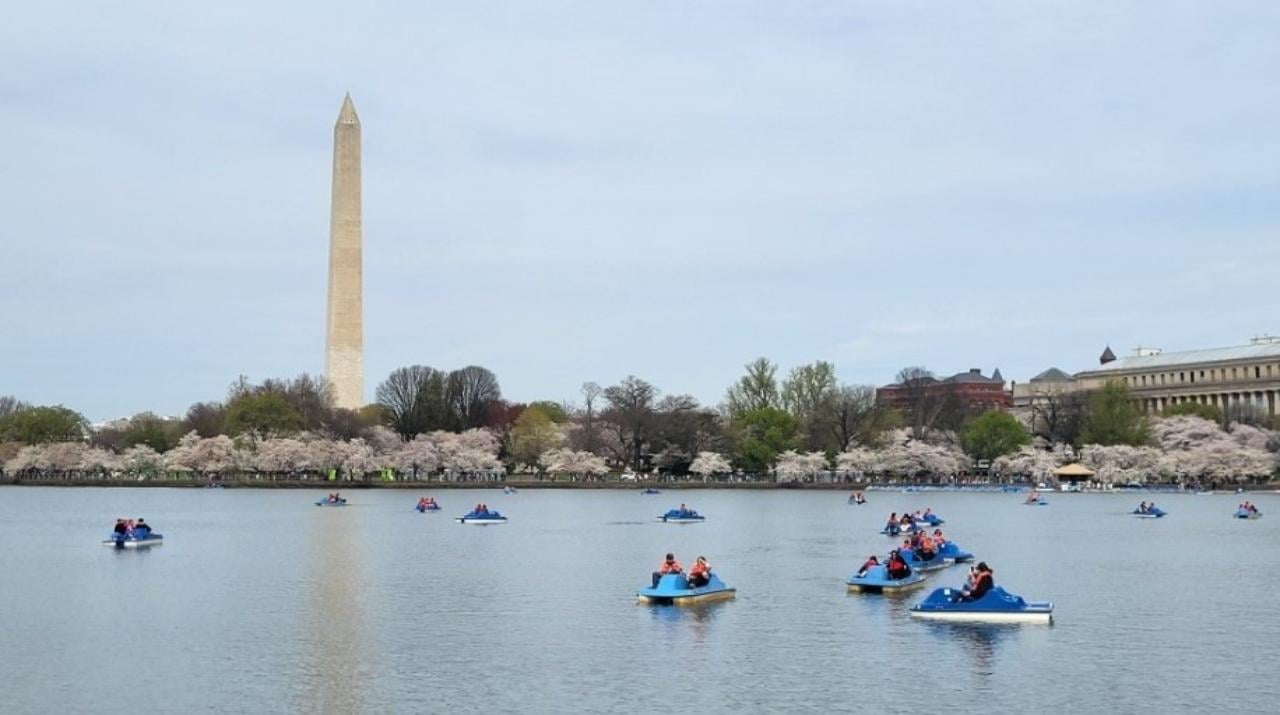 Tidal Basin Pedal Boat Adventure