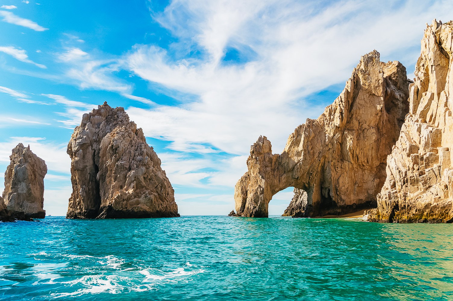 Cabo San Lucas Whale Watching Catamaran Cruise