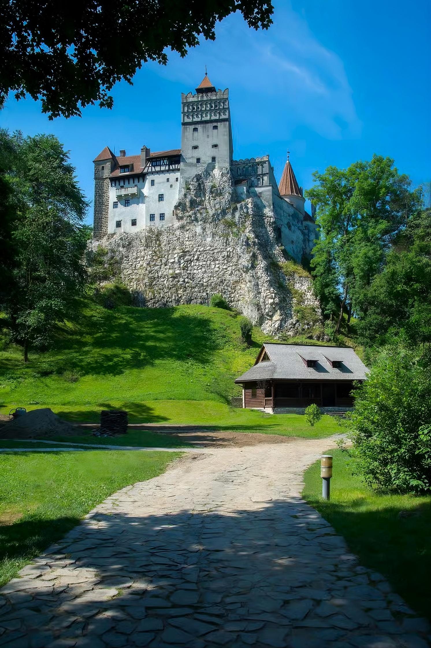 Transylvania Highlights: Bran Castle, Bear Sanctuary & Brasov