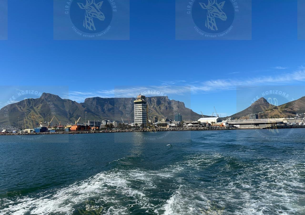 Robben Island Ferry, Prison & Guided Tour from Cape Town