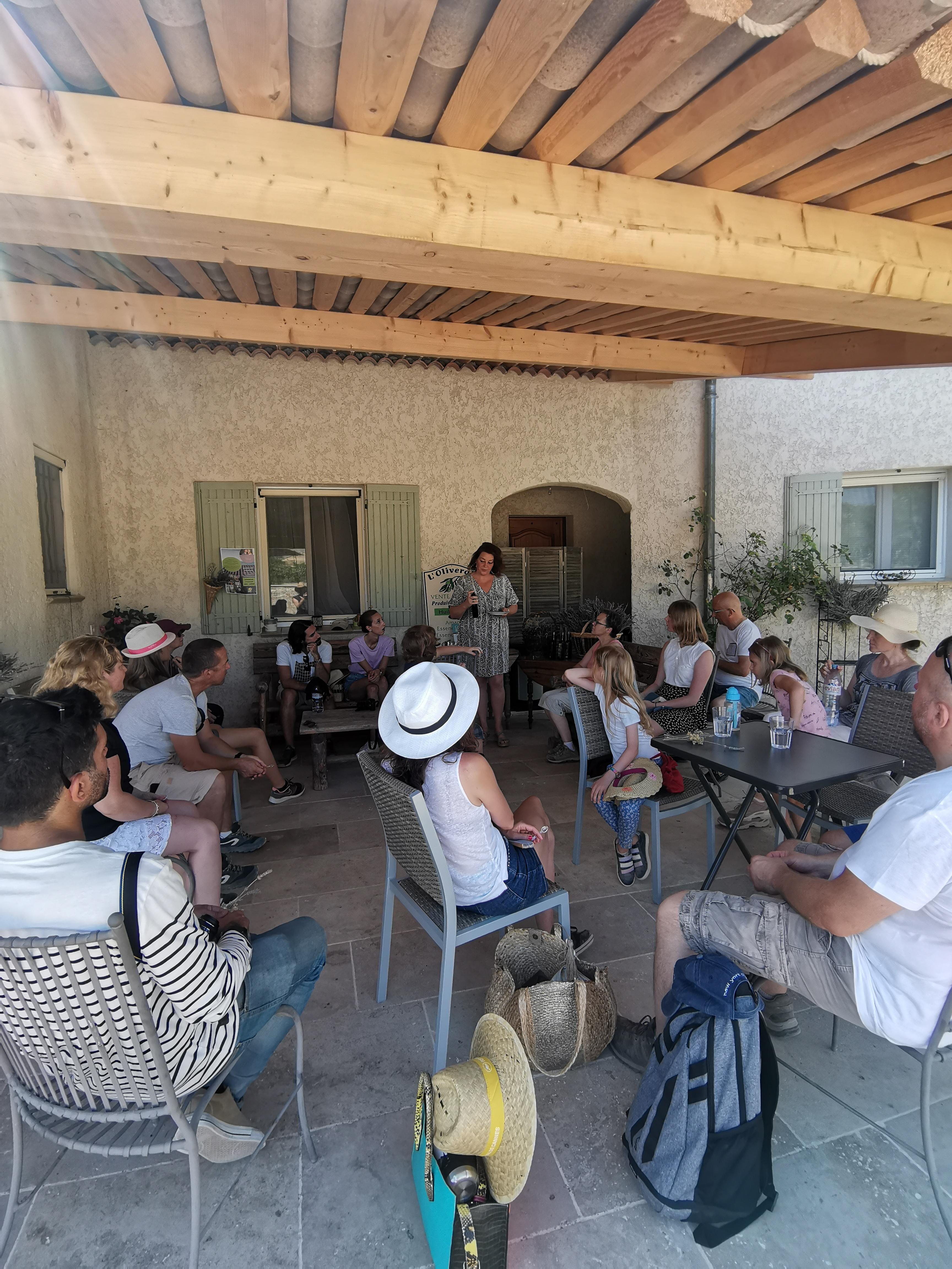 Valensole lavender fields in Provence — guided lavender tour photo 4