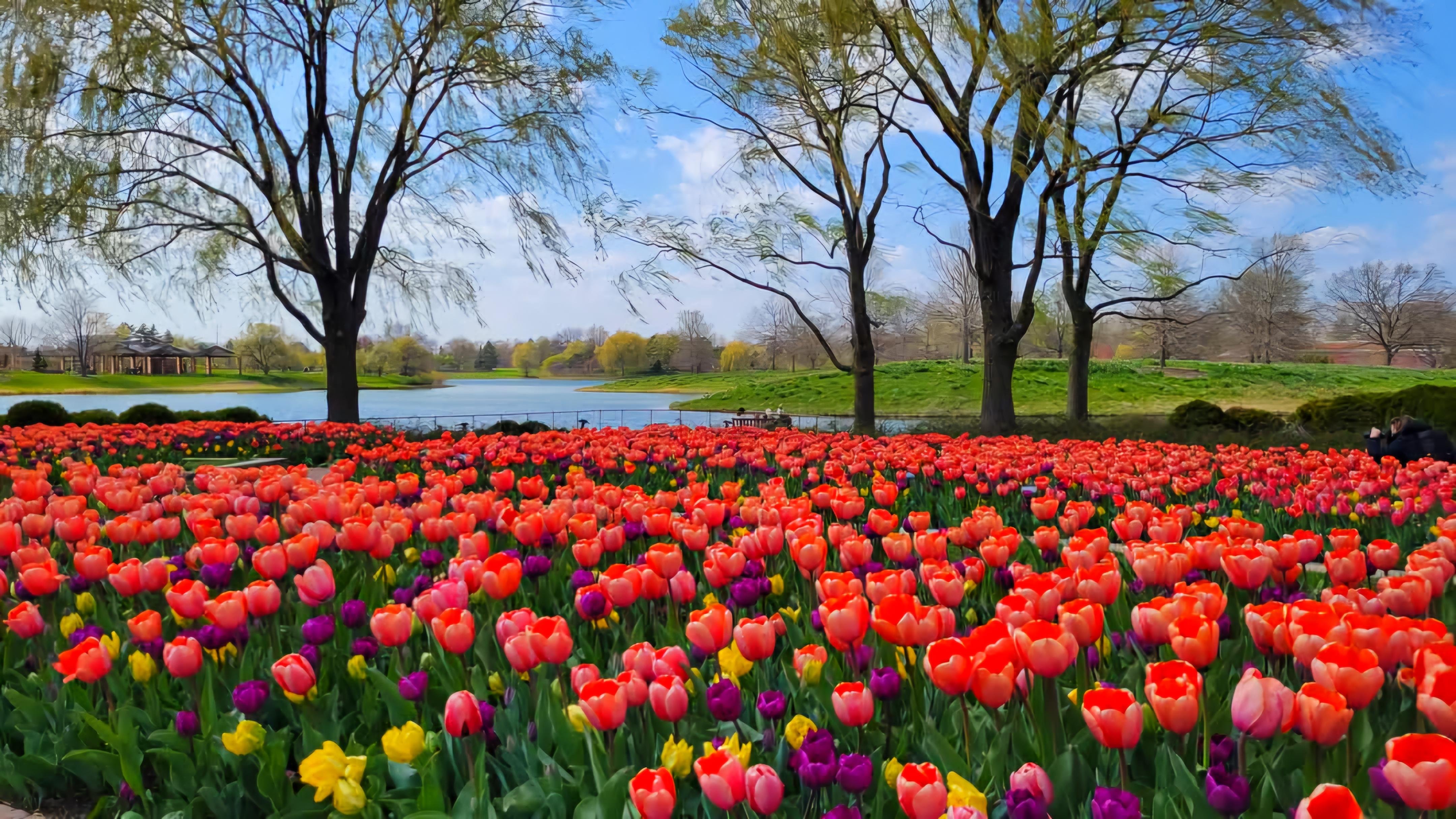 Chicago Suburbs Hidden Gems Discovery