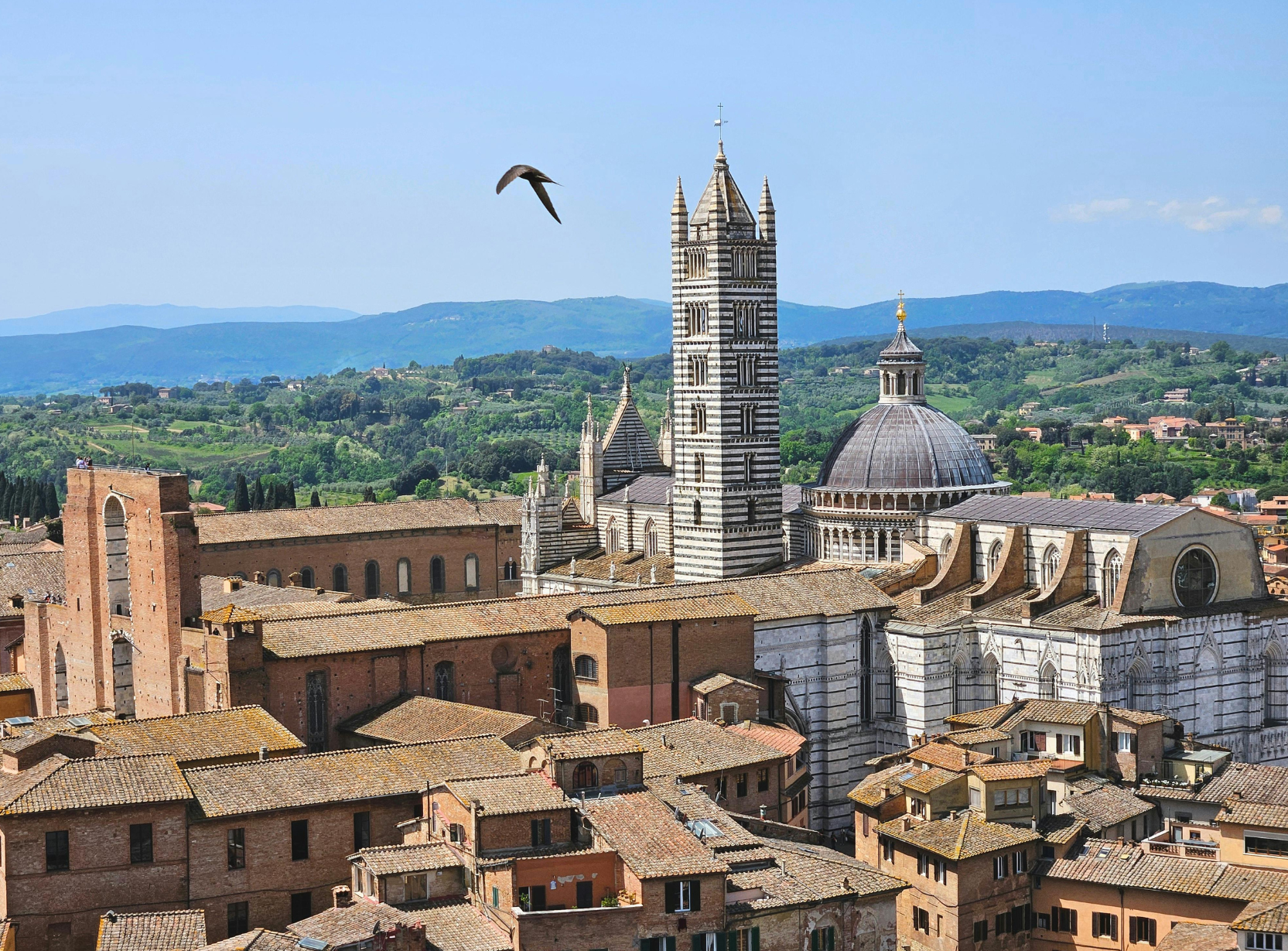 wine tour in Chianti — photo 11