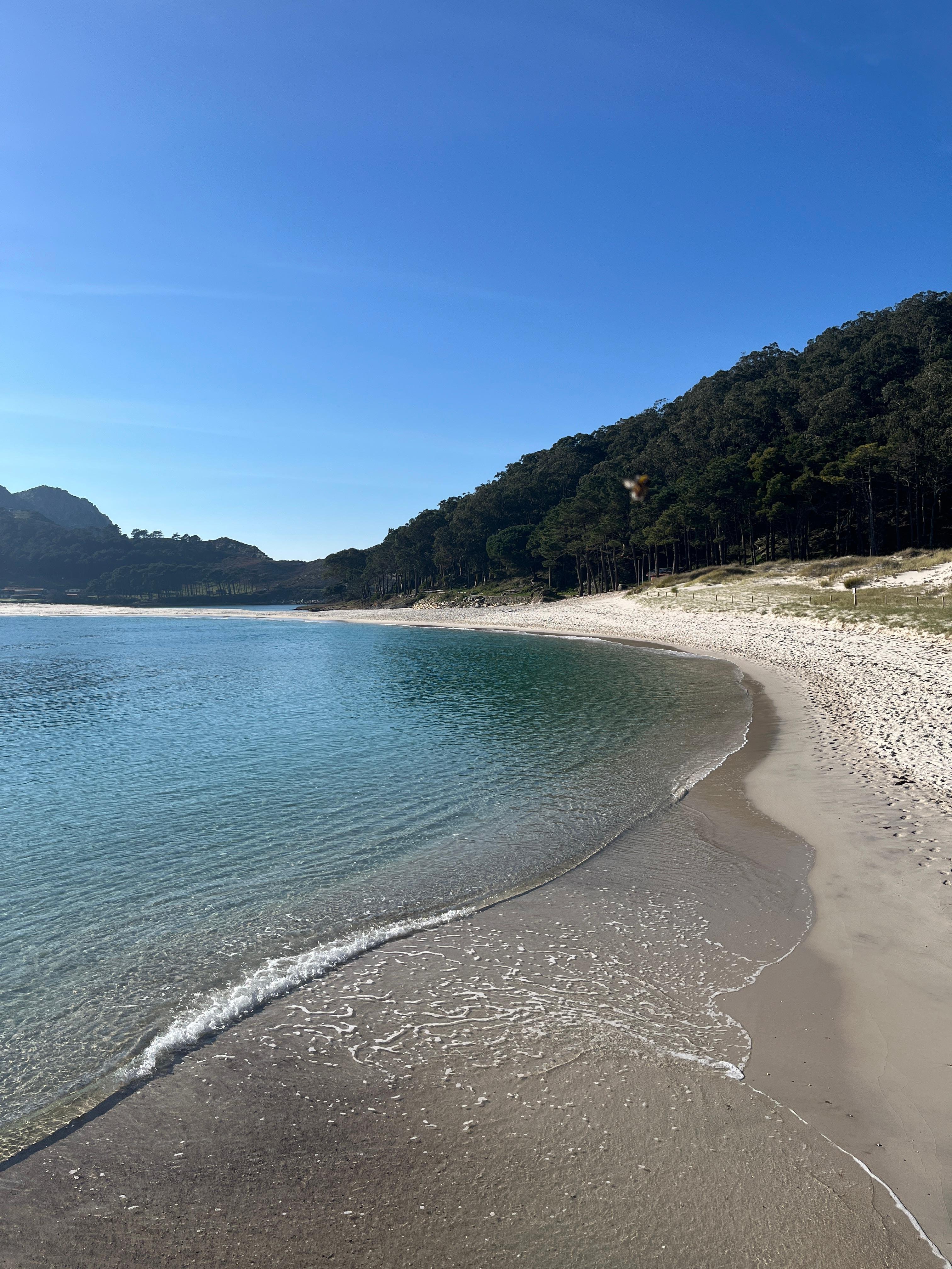 Cíes Islands Boat Trip from Vigo or Cangas