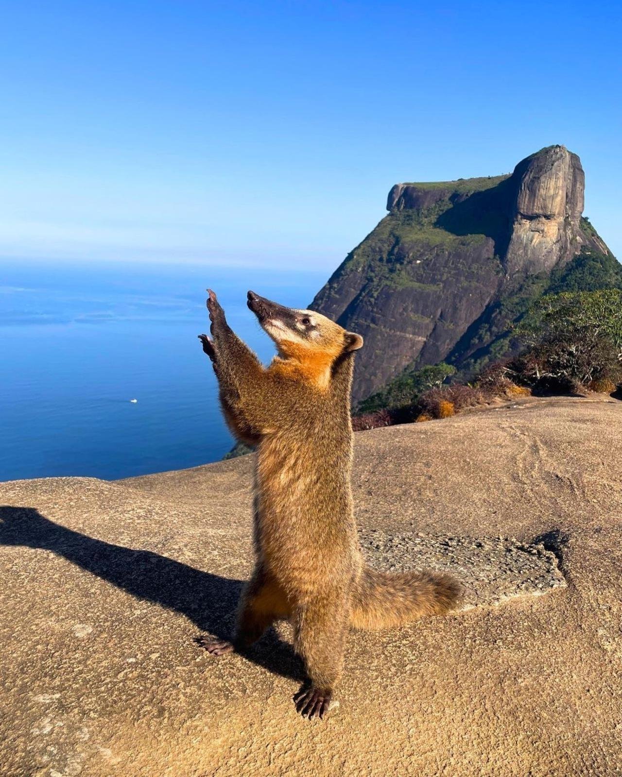 Pedra Bonita Guided Hike with Professional Photos