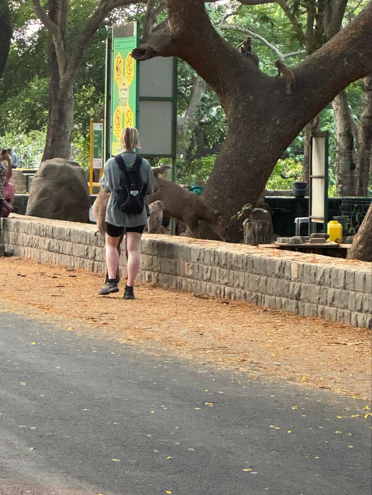 Mumbai Nature & Heritage: Kanheri Caves, Safari & Jain Temple