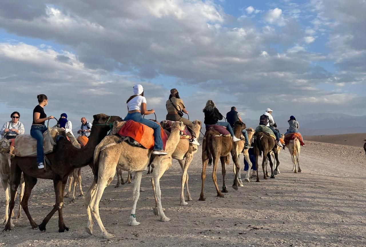 Agafay Desert Evening: Quad, Camel Ride & Dinner Under the Stars