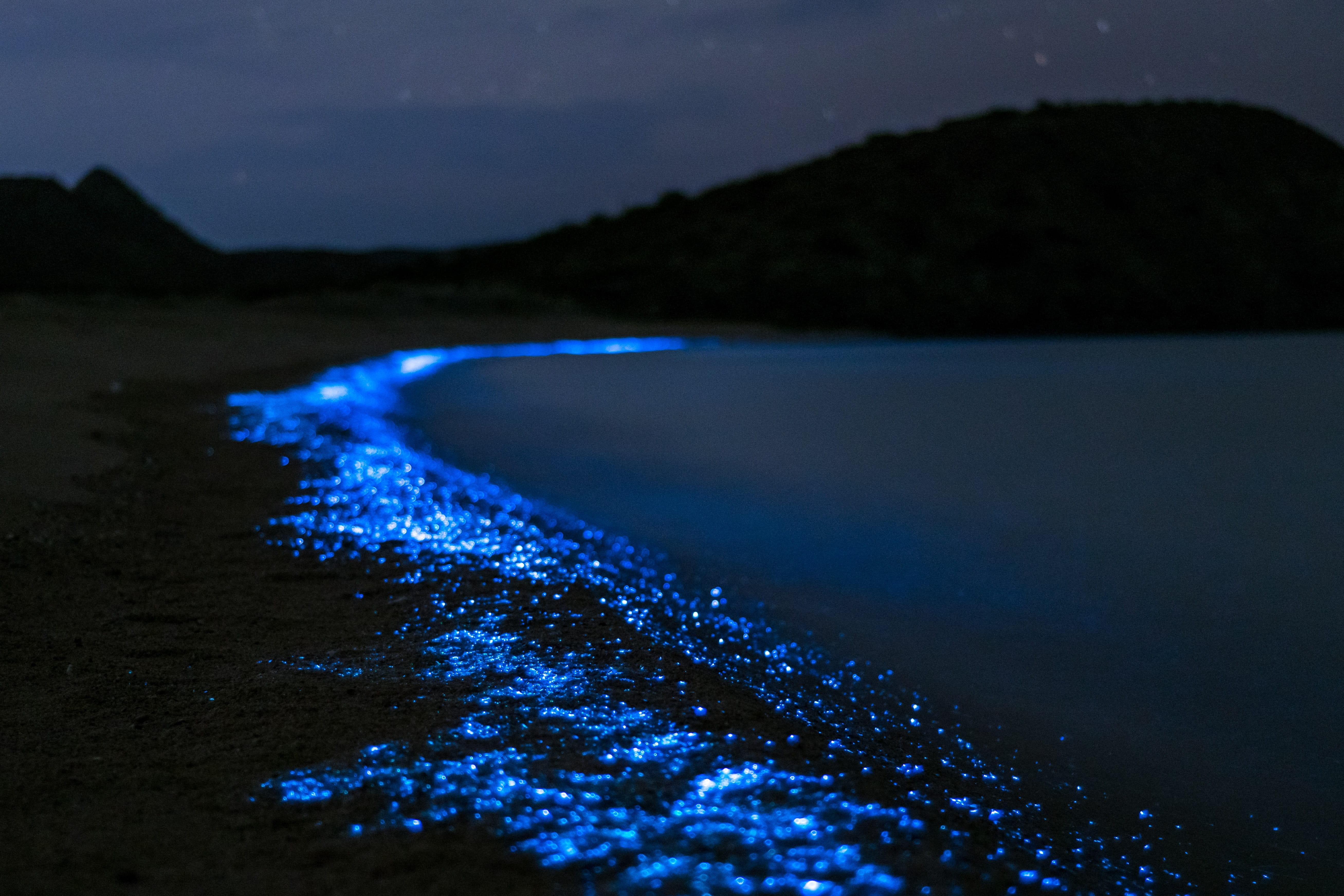 Phang Nga Bay Sea Canoe & Bioluminescent Plankton Night Tour from Phuket