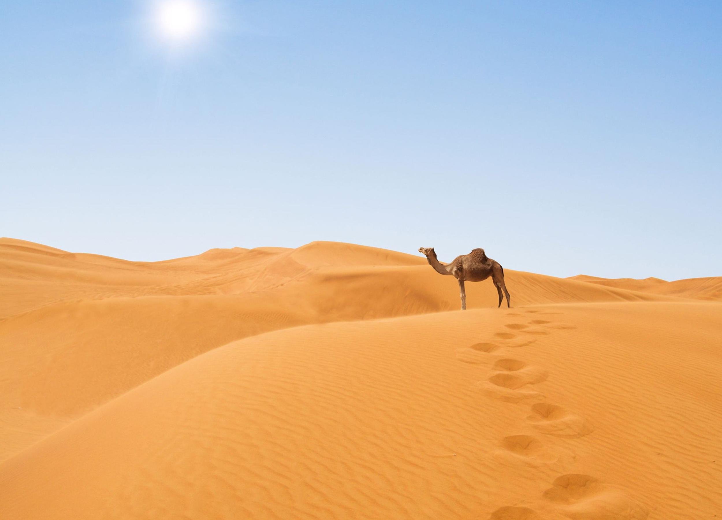 Marrakech to Agadir: 4-Day Private Desert Journey via Merzouga