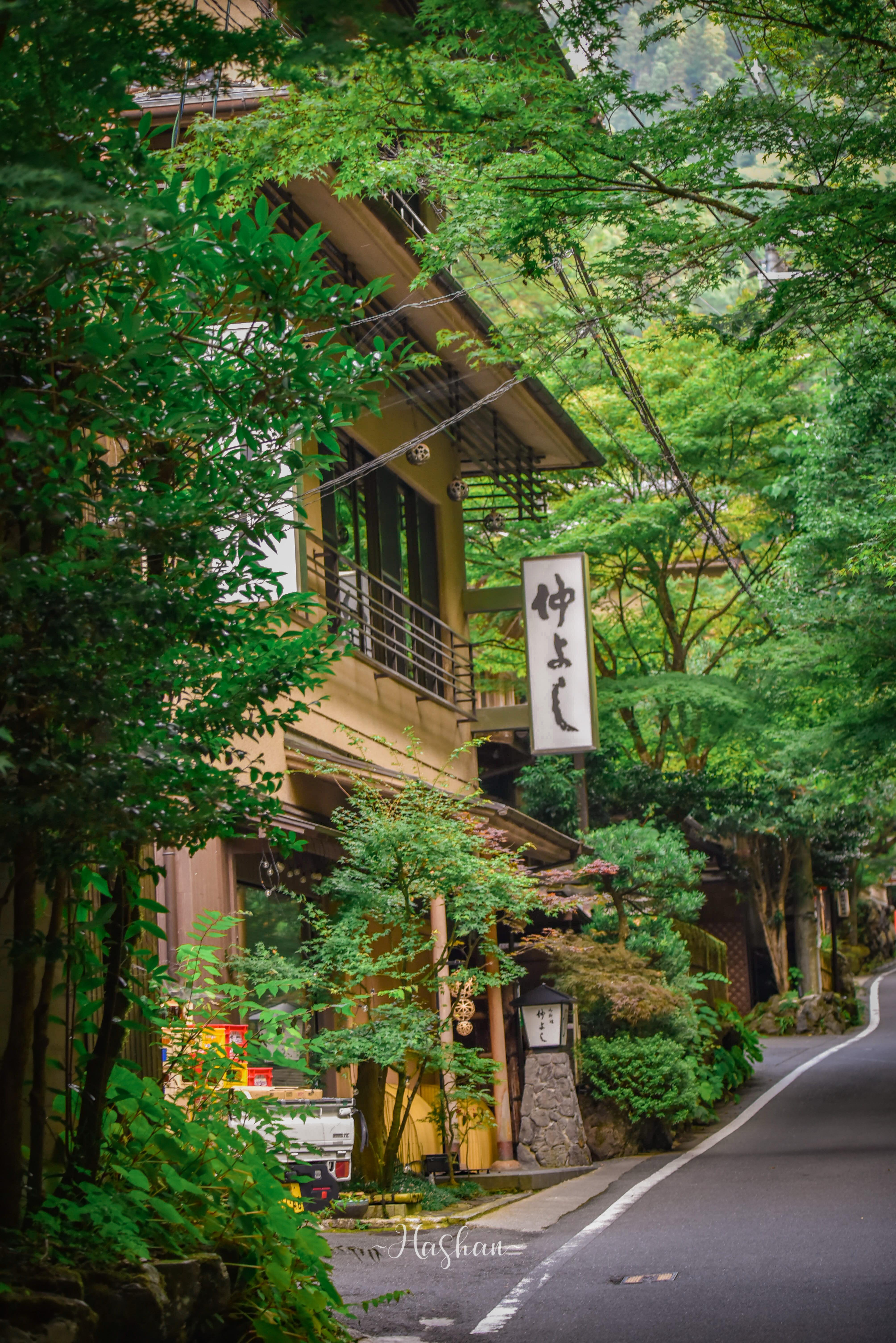Kyoto Private Day Tour with Guide & Vehicle