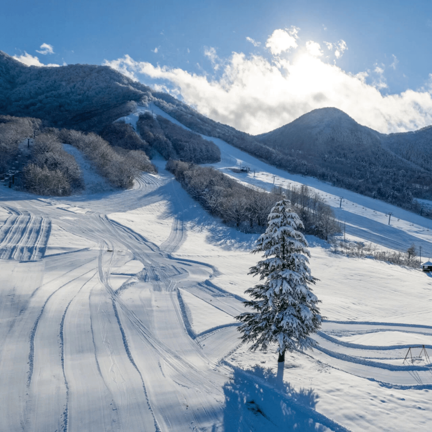 Private Nagano Day Tour: Snow Monkeys, Zenko-ji & Hot Springs from Tokyo