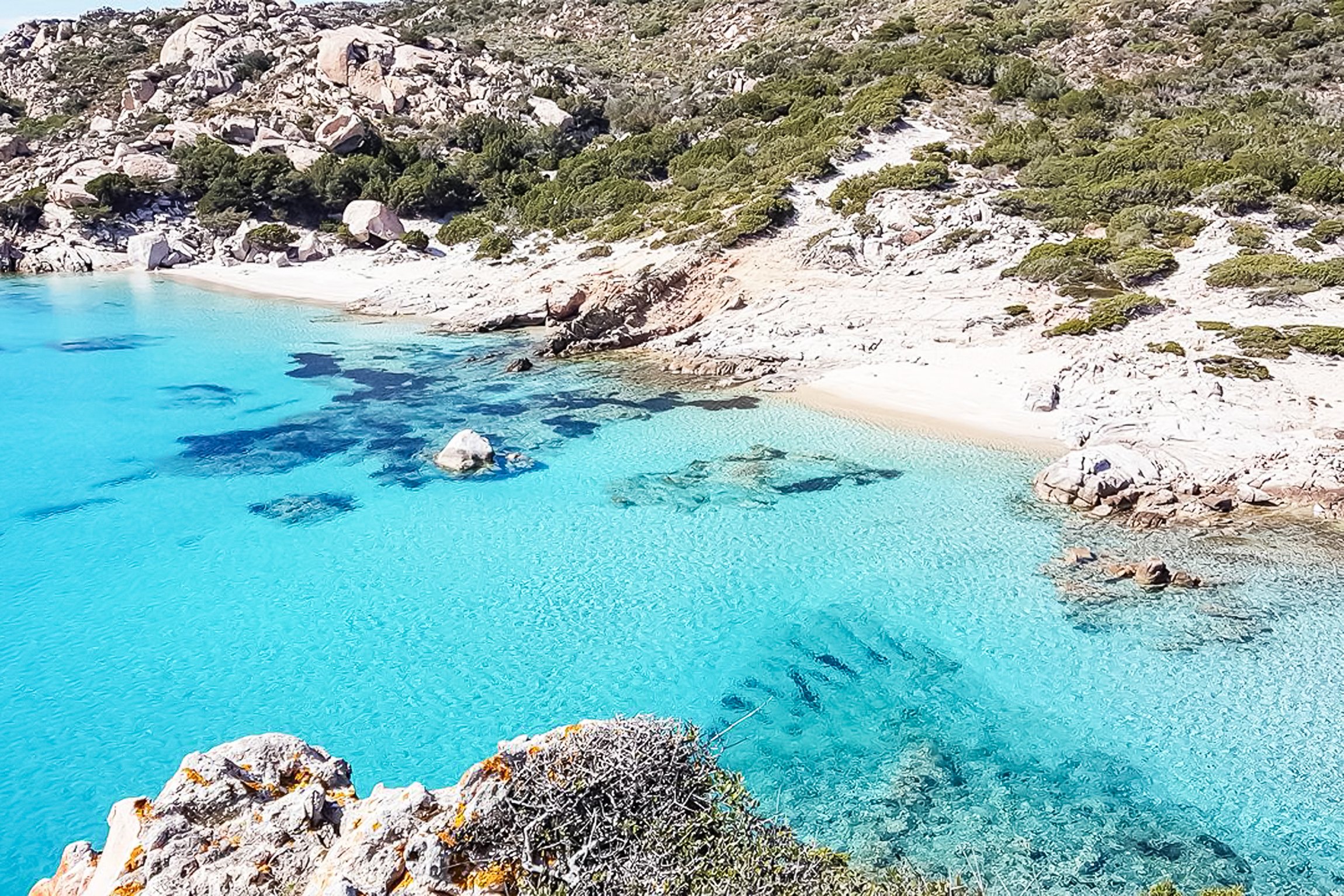 Sardinia: La Maddalena Archipelago Full-Day Trip by Boat - 2026 (Verified Reviews)