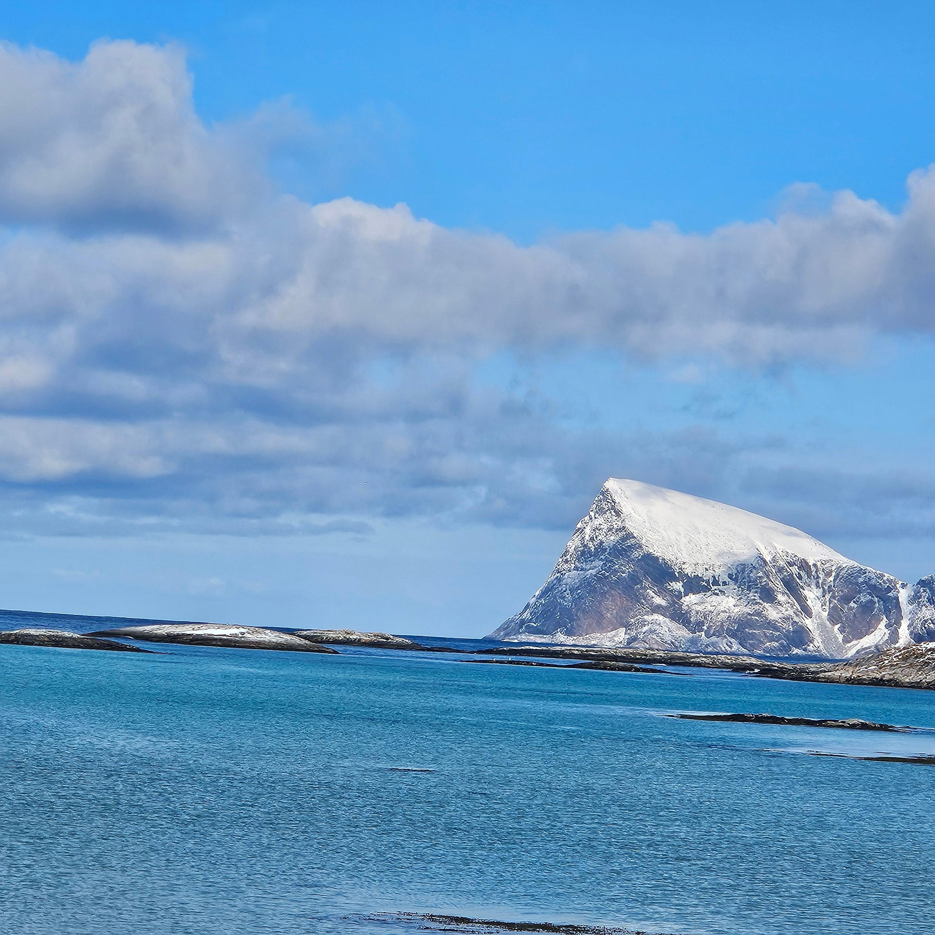Tromsø: Midnight Sun Tour to the Magical Sommarøy with Meal - 2026 (Verified Reviews)