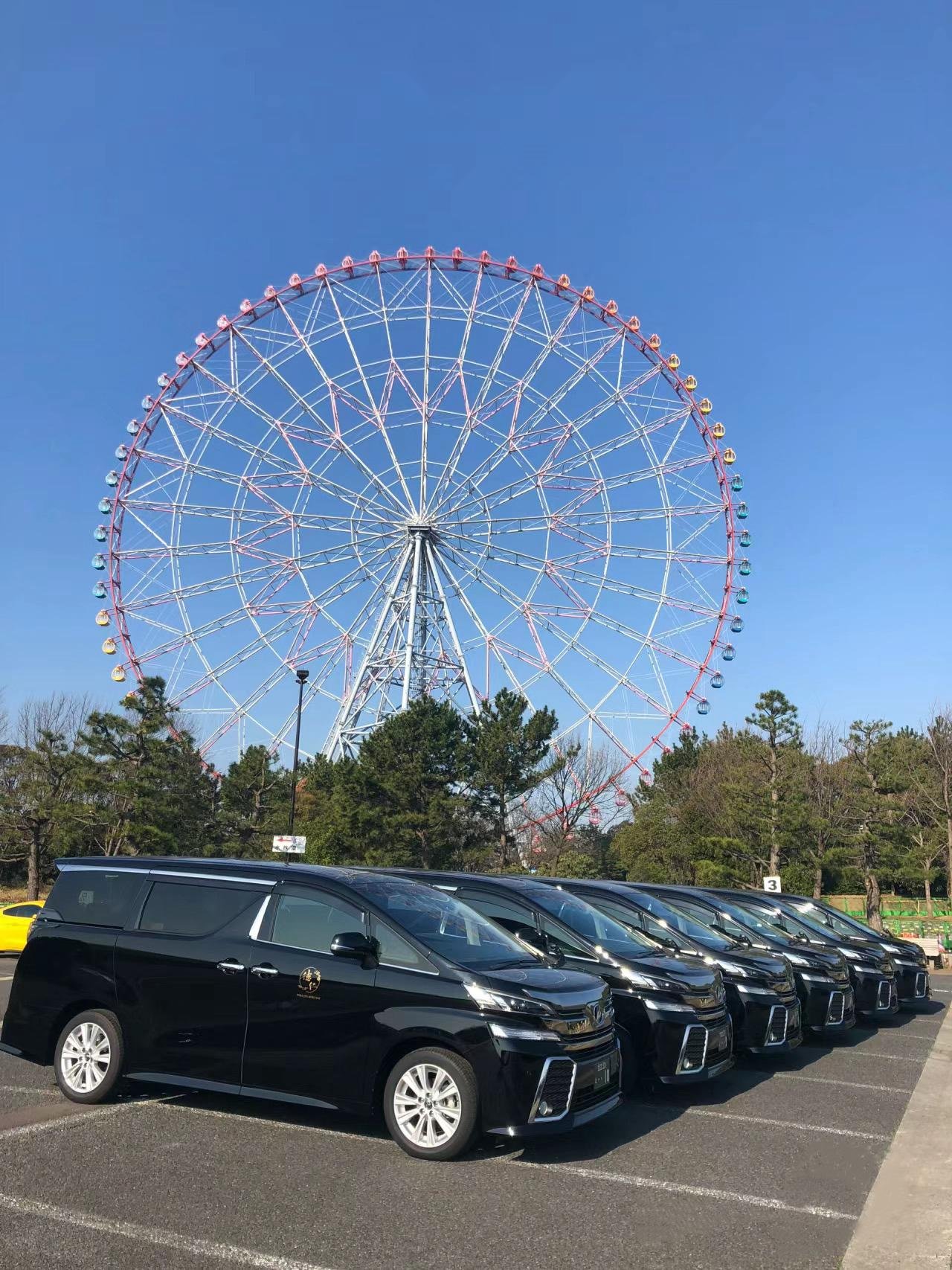 Tokyo Private Airport Transfer: Narita (NRT) ↔ City Centre (1–9 Passengers)