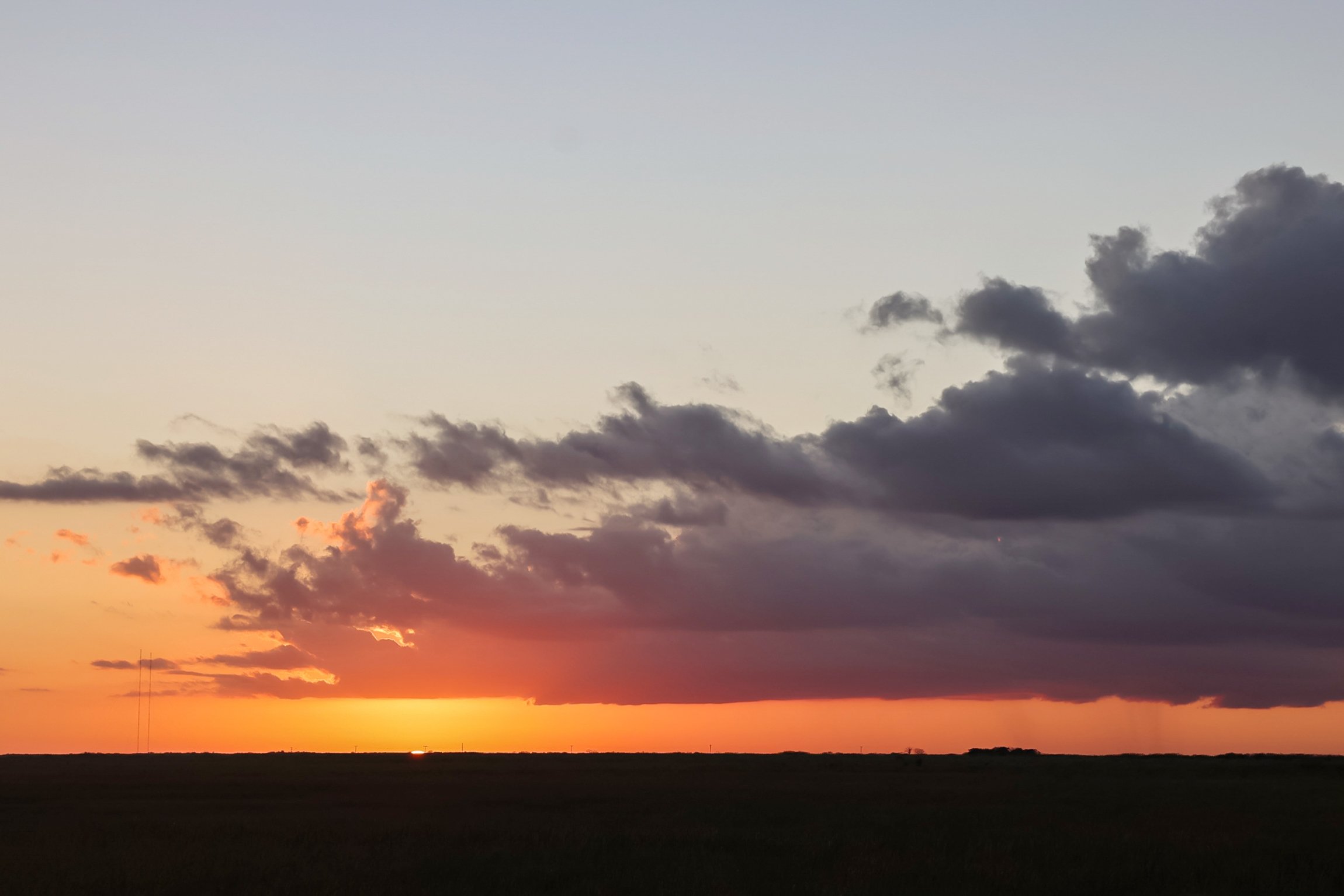 Everglades Airboat Adventure & Alligator Exhibition