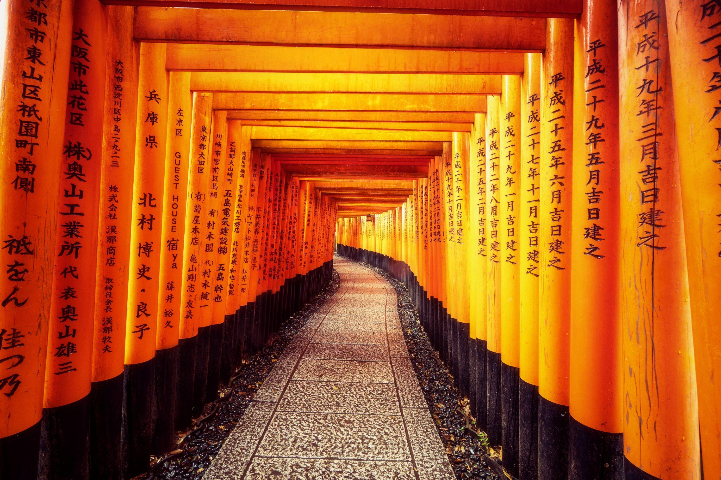 Osaka: Best of Kyoto & Nara Group Tour with 2 Iconic Routes