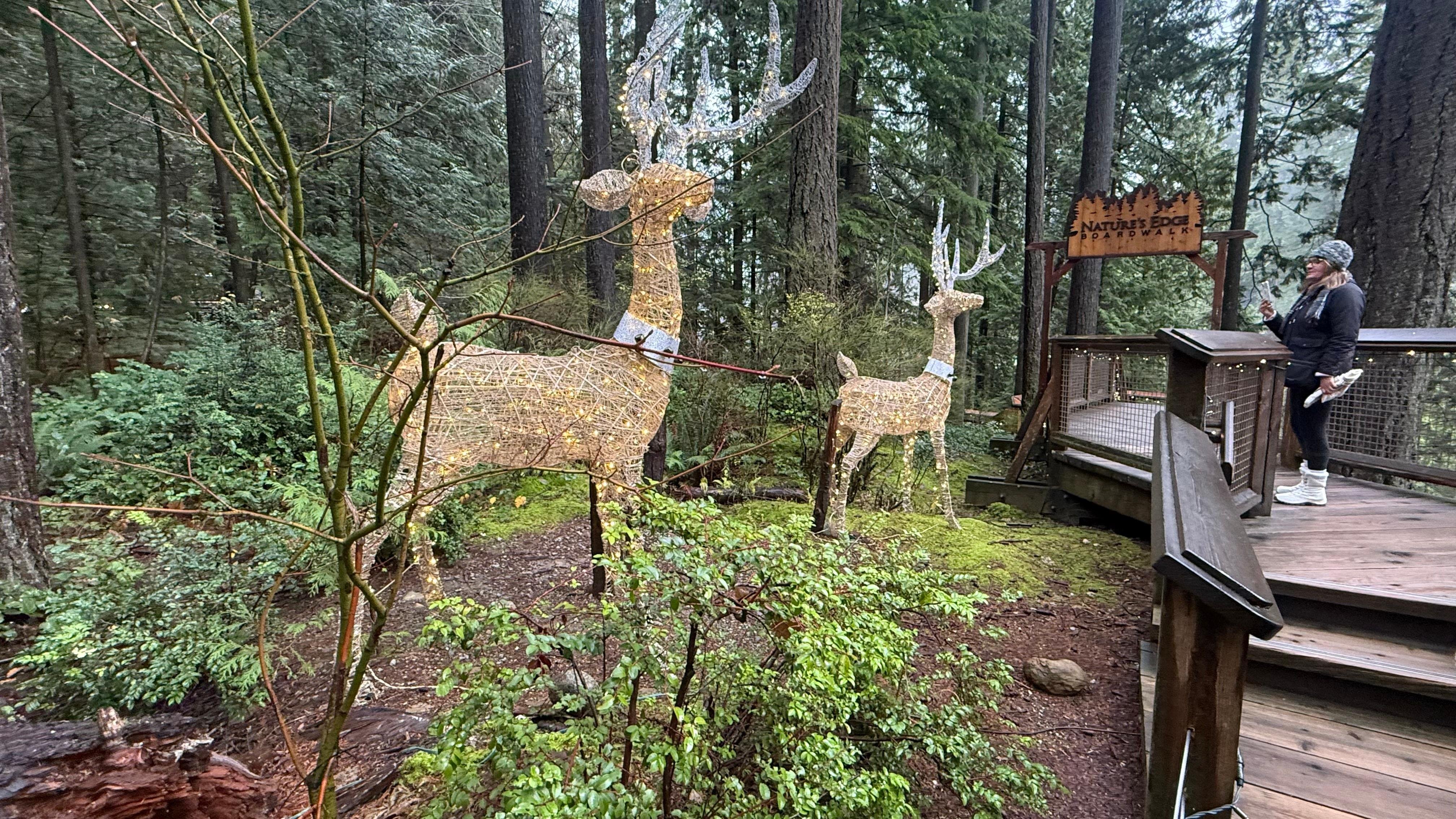 Capilano Suspension Bridge & Stanley Park Small Group Tour