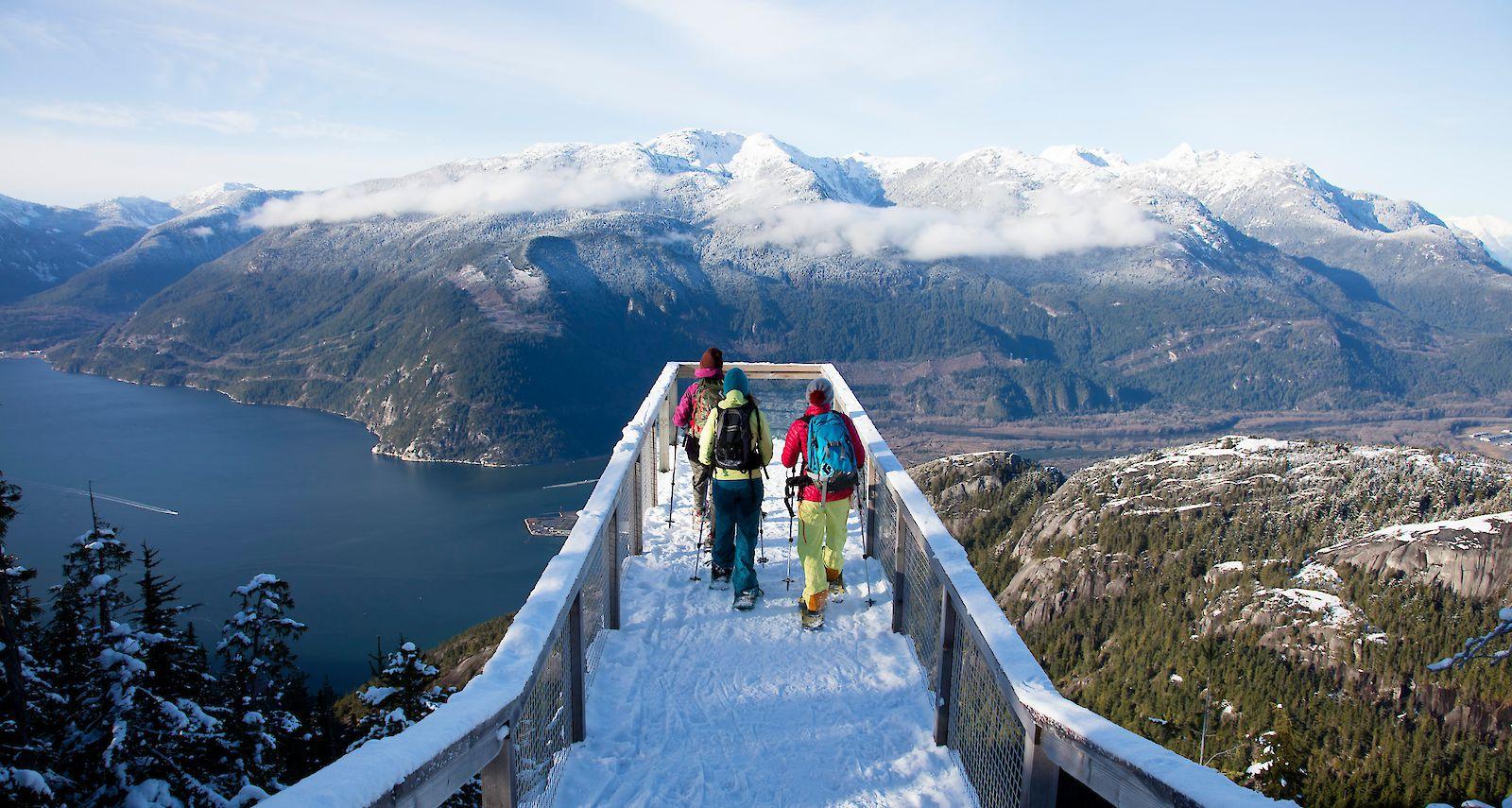 Sea to Sky Gondola in Squamish BC — summit views, suspension bridge, and Howe Sound — image 13