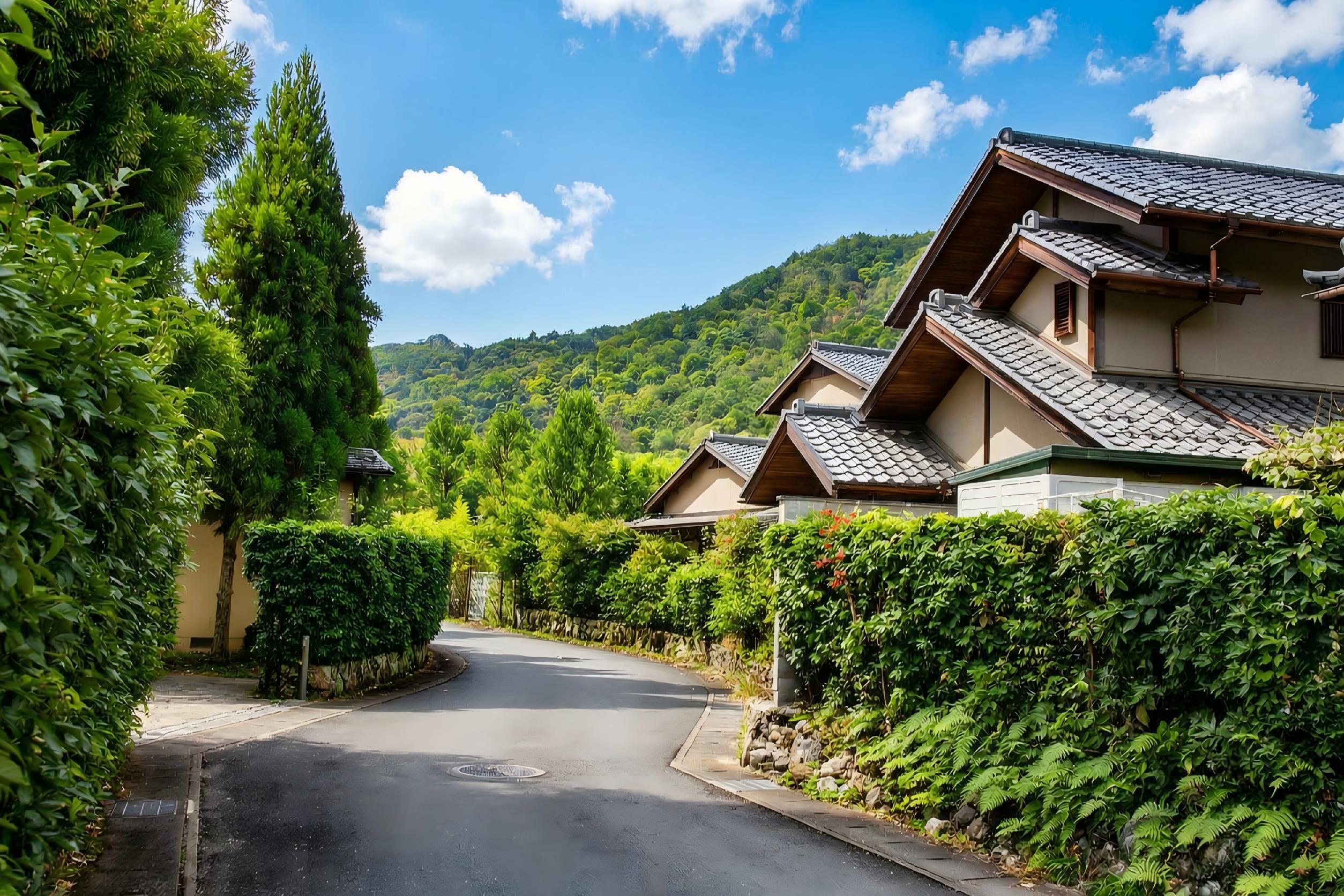 Kyoto & Arashiyama Cultural Explorer Day Trip